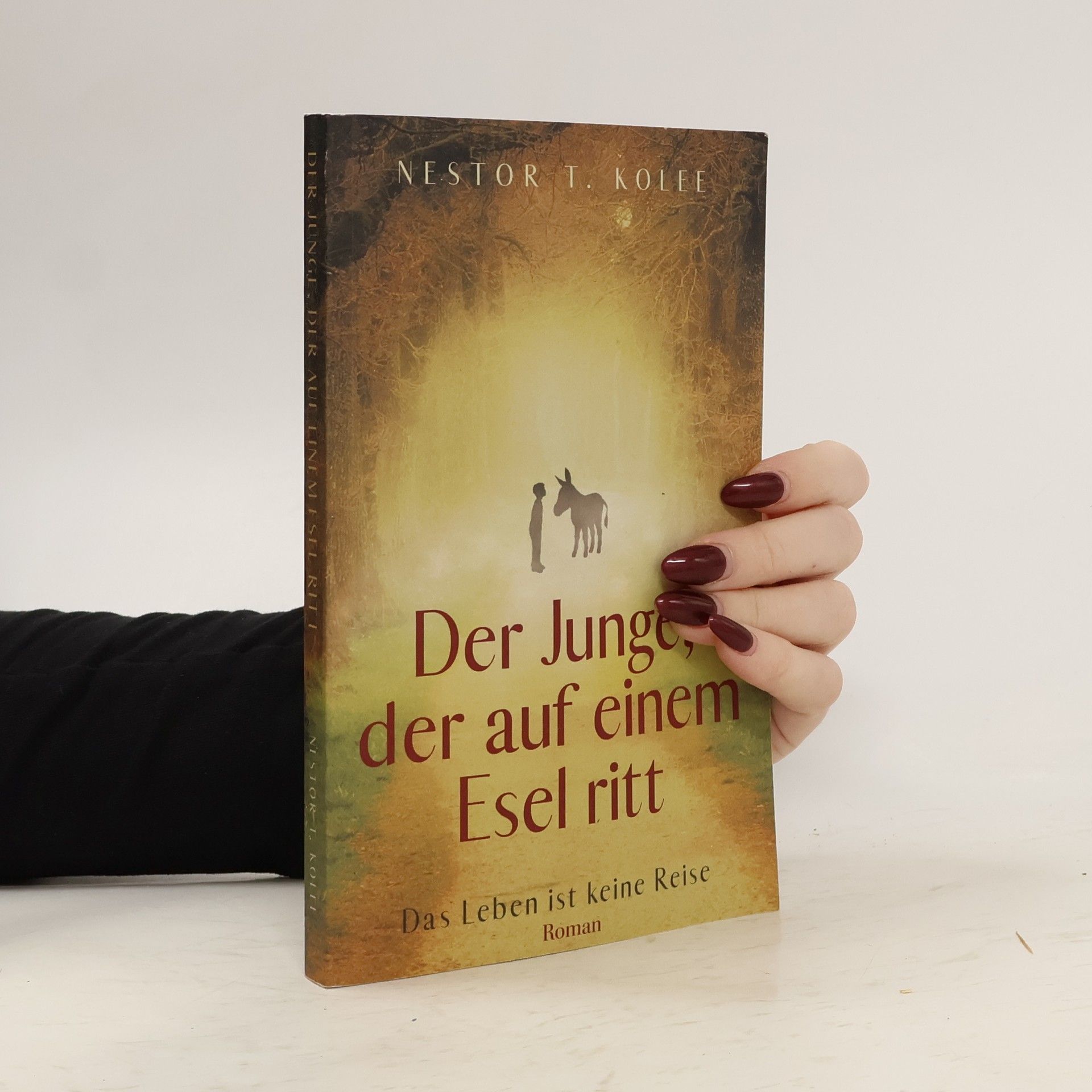 Junge, der Auf Einem Esel ritt