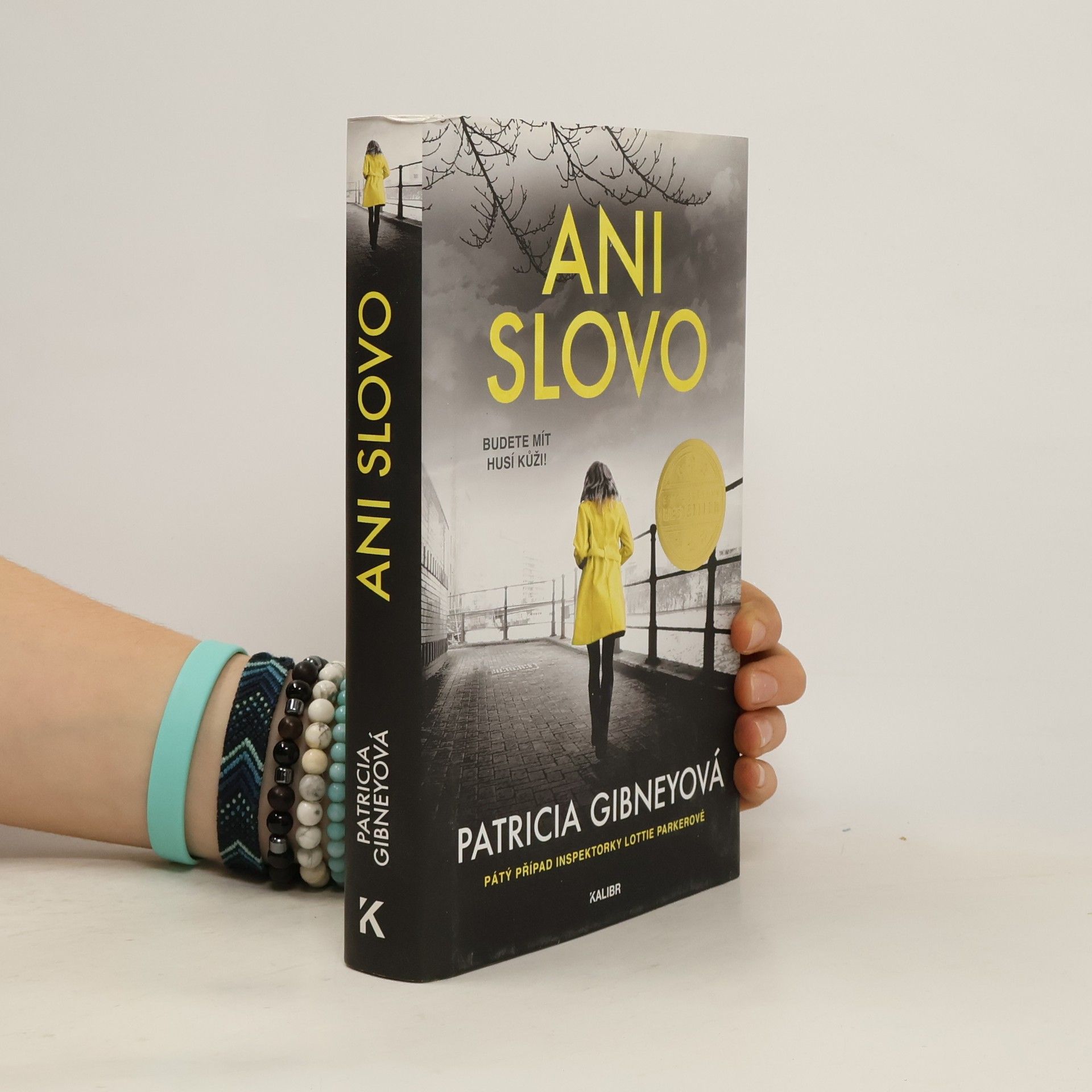 Patricia Gibney Ani slovo