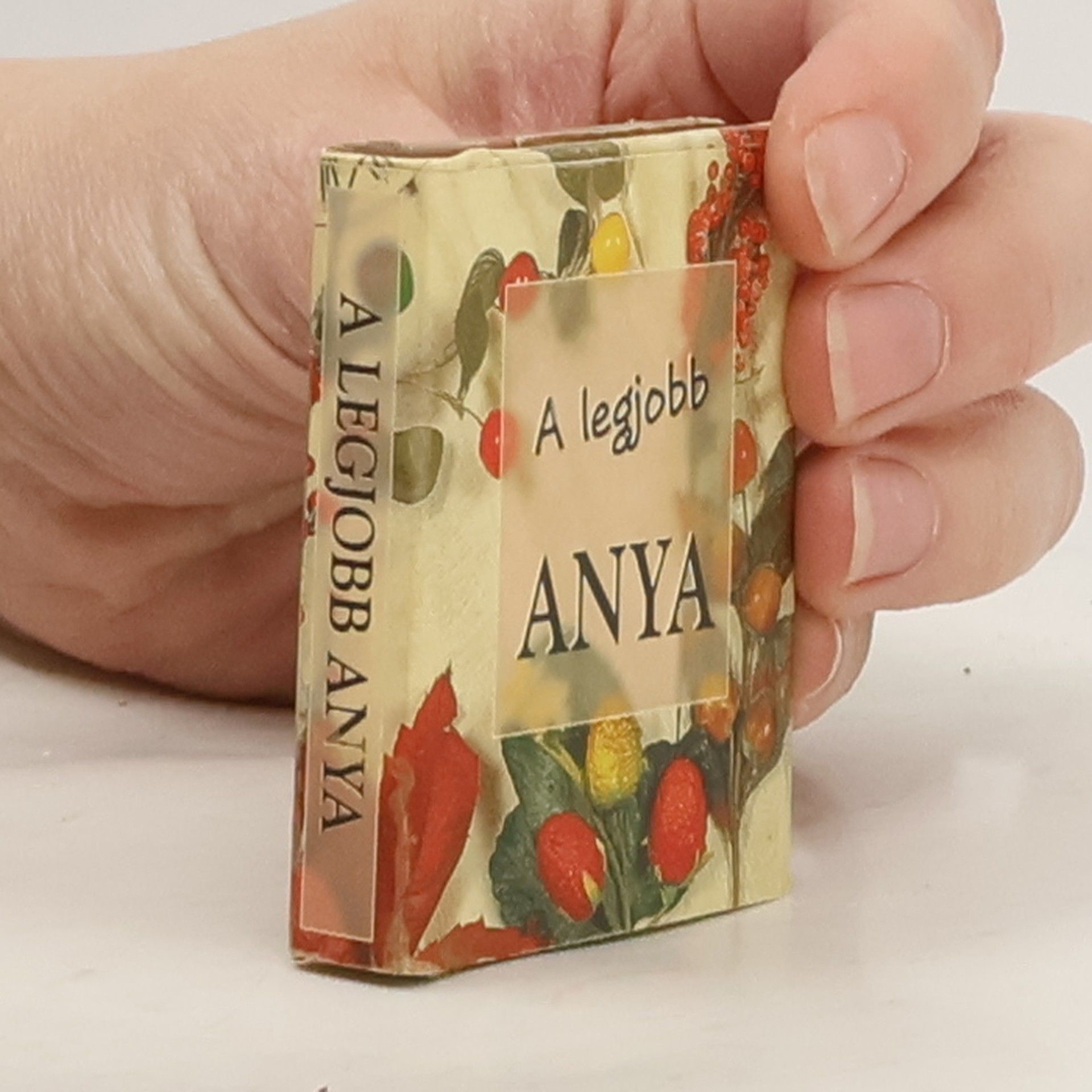 AA.VV. A legjobb Anya