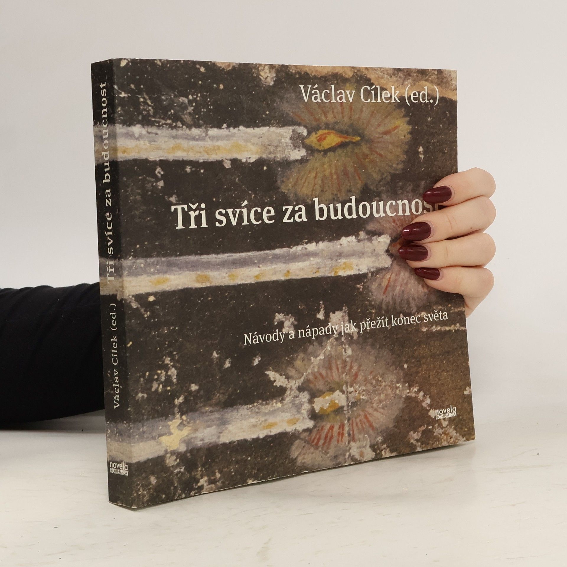 Tři svíce za budoucnost: Návody a nápady jak přežít konec světa