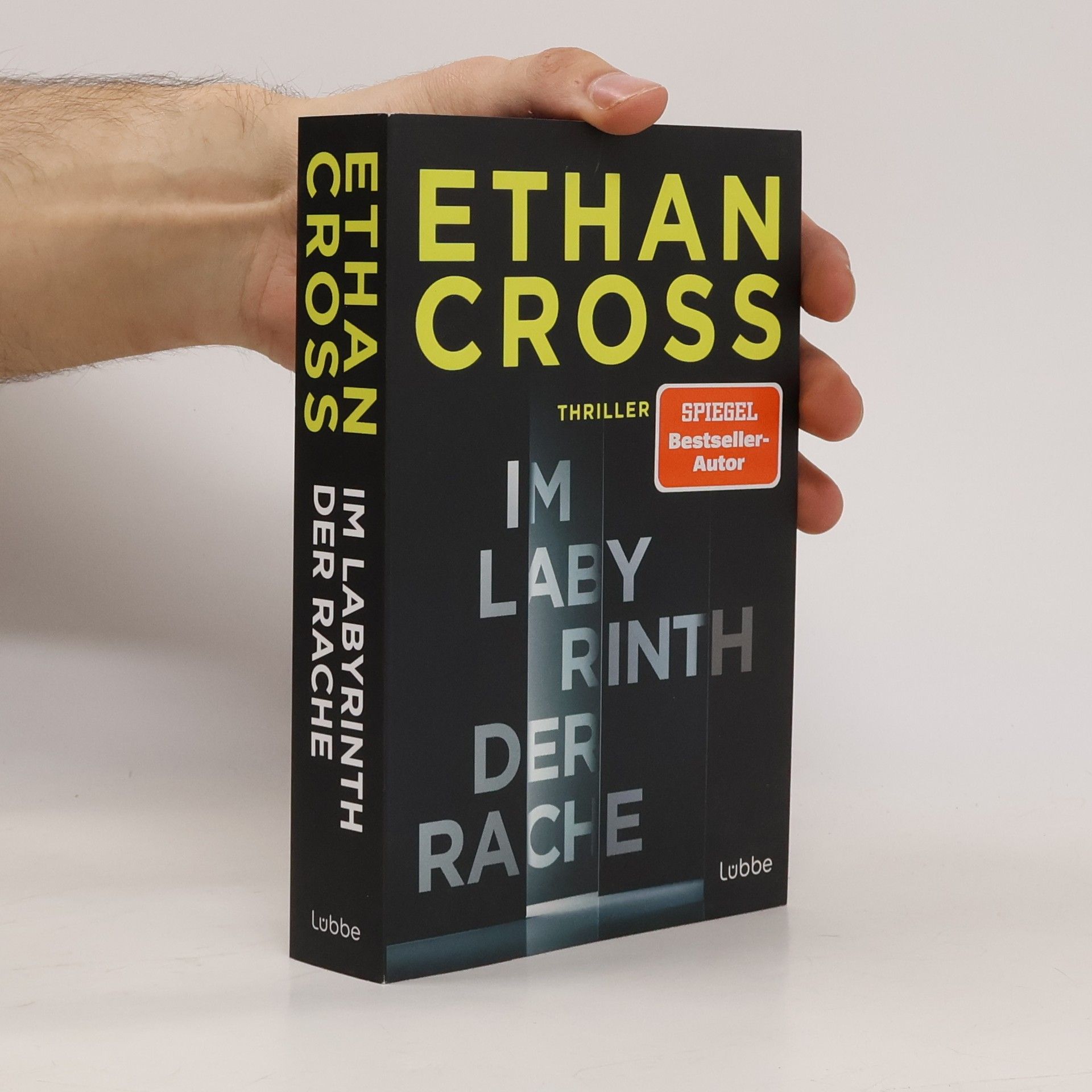 Im Labyrinth der Rache. Thriller