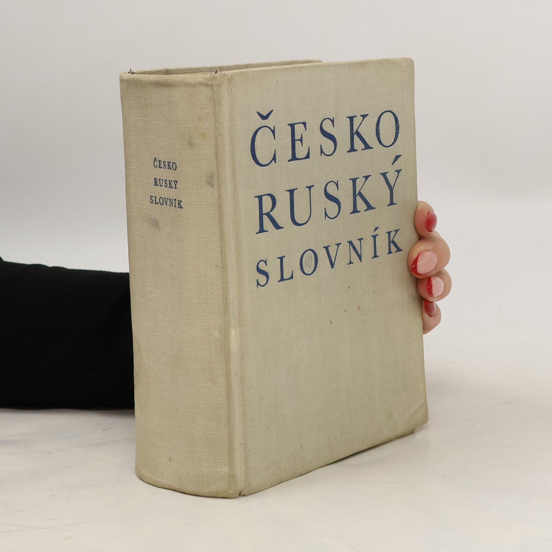 Autorenkollektiv Česko-ruský slovník
