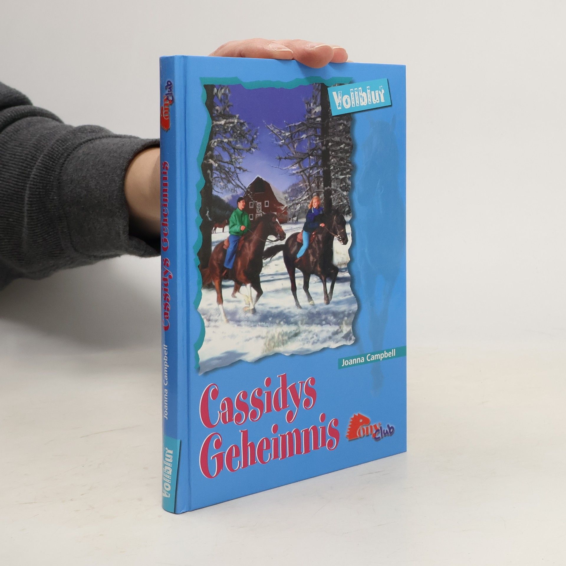 Jo Ann Simon Cassidys Geheimnis