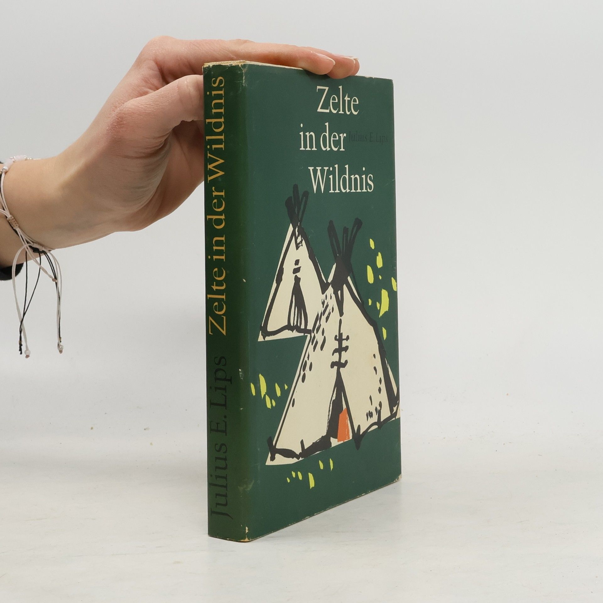 Zelte in der Wildnis