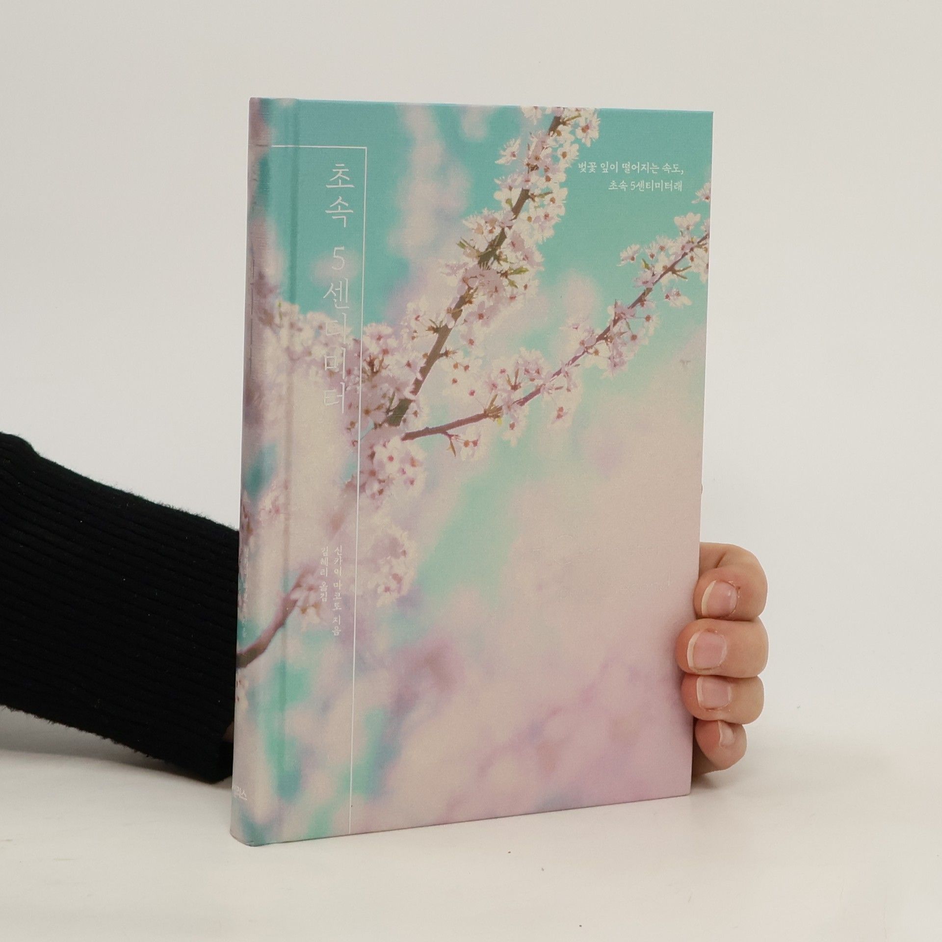 신카이 마코토 초속 5센티미터