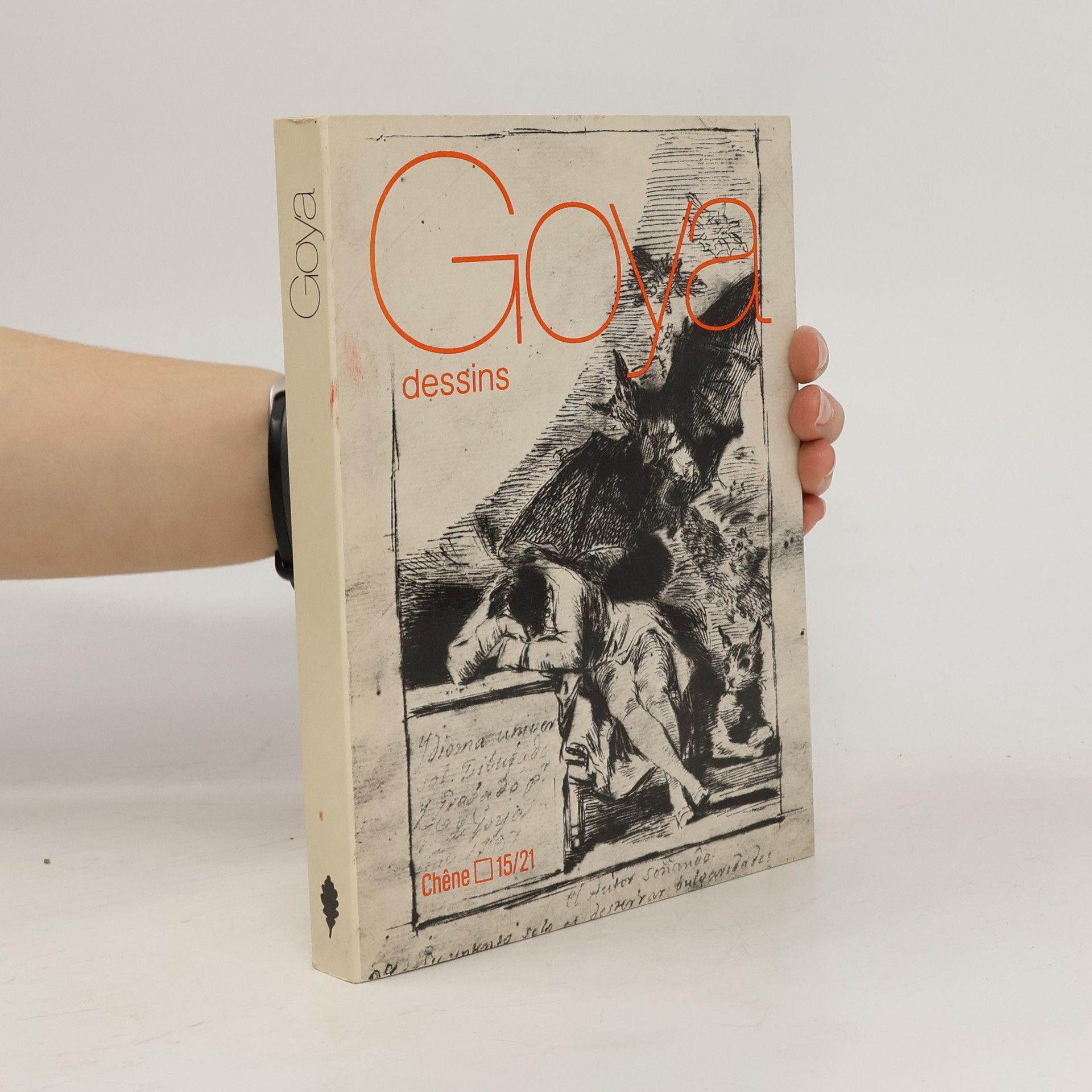Collectif d'auteurs Goya. Dessins
