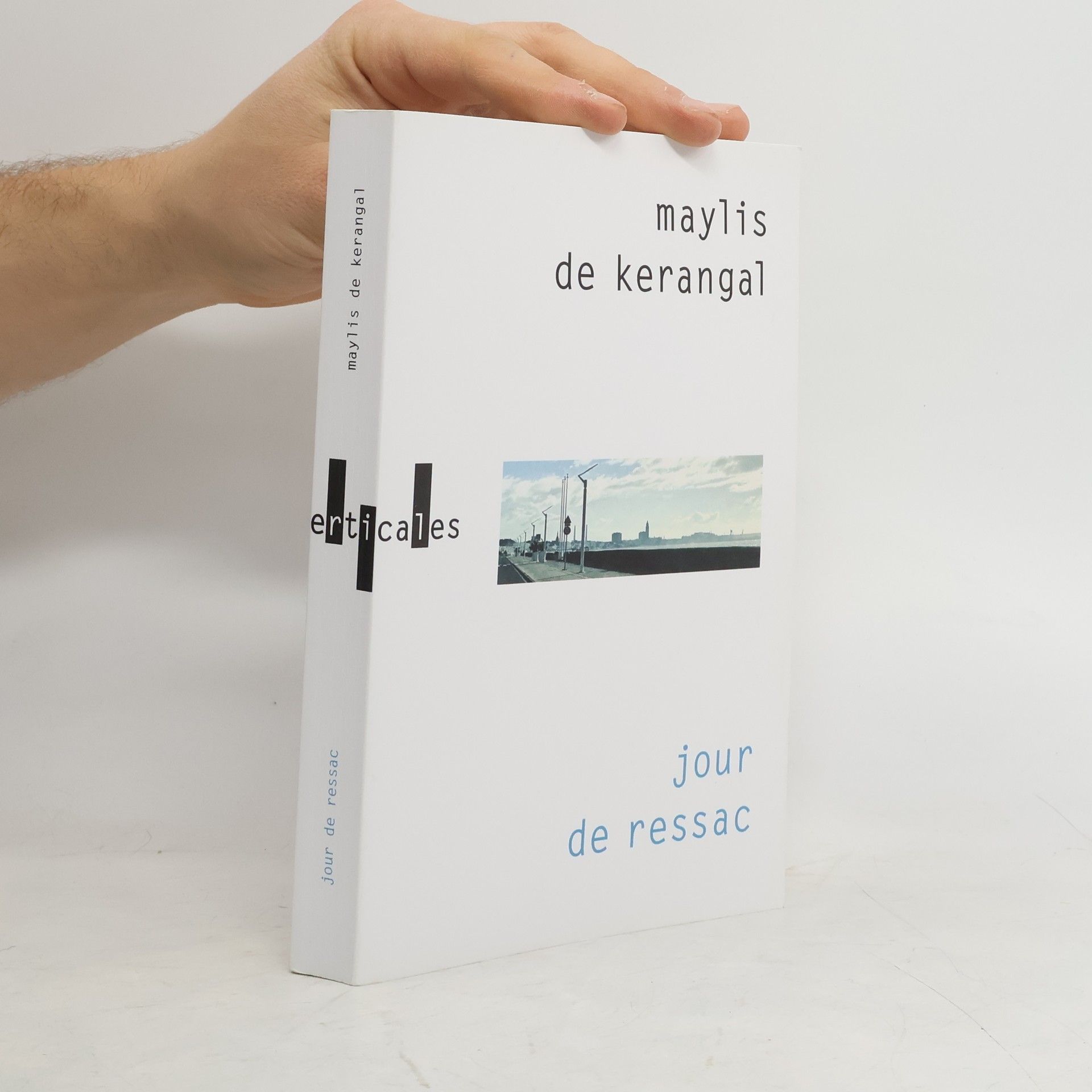 Maylis de Kerangal Jour de ressac