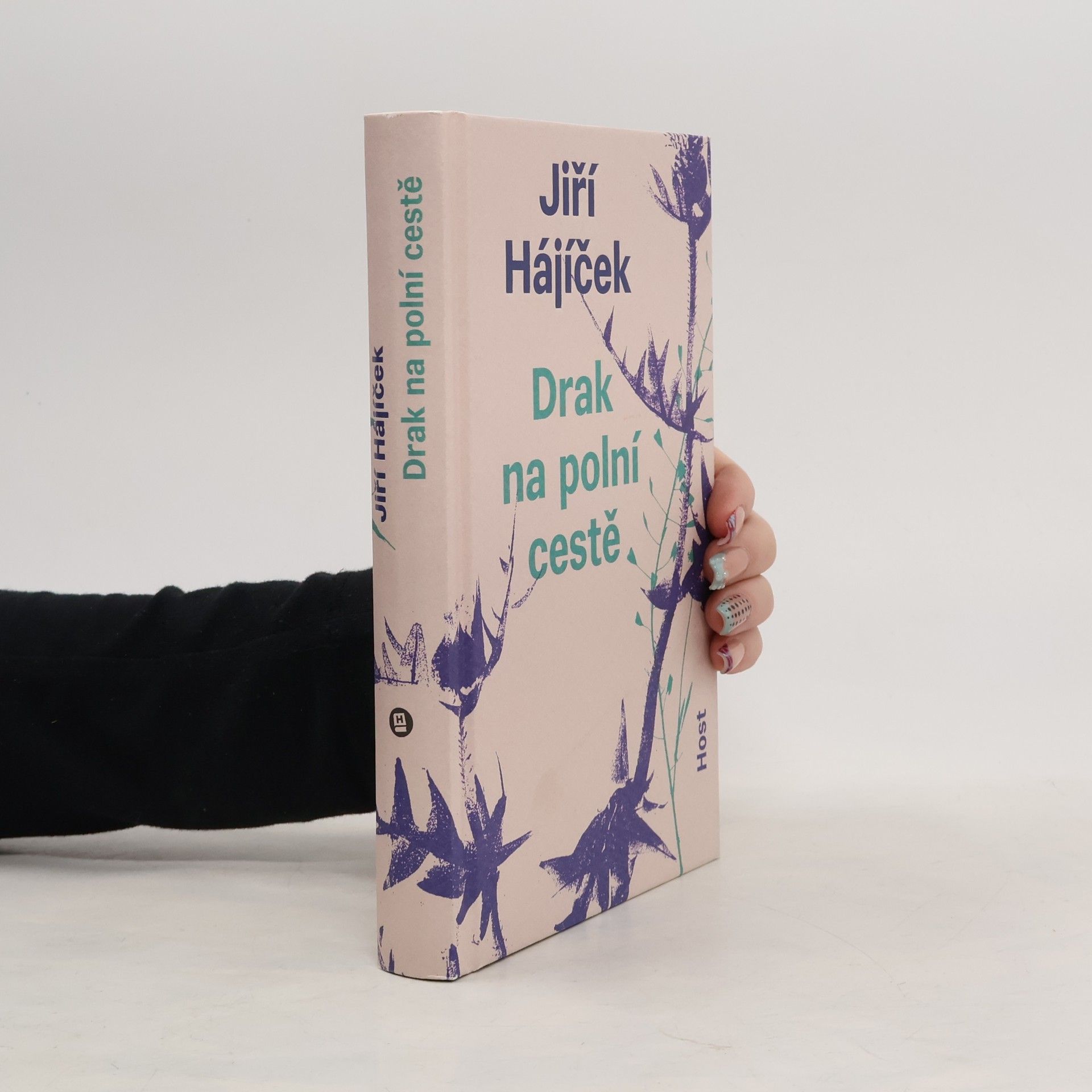 Drak na polní cestě