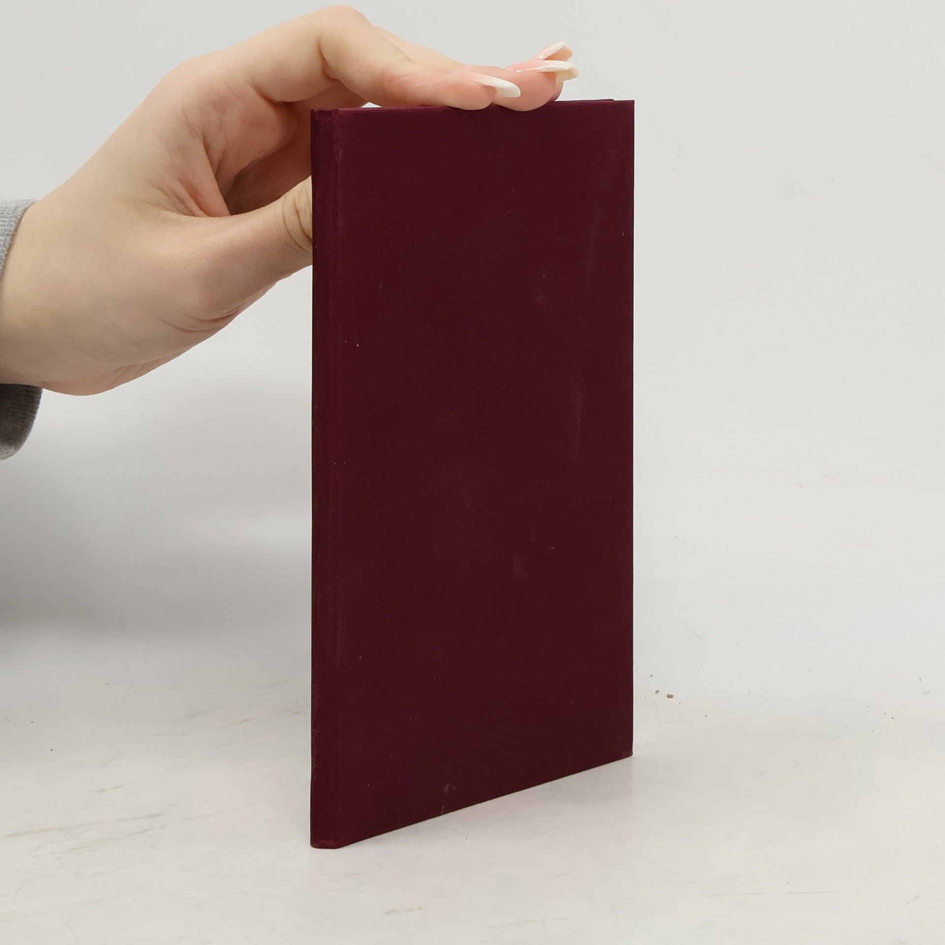 Maurus Jacobs Die Baumassnahme