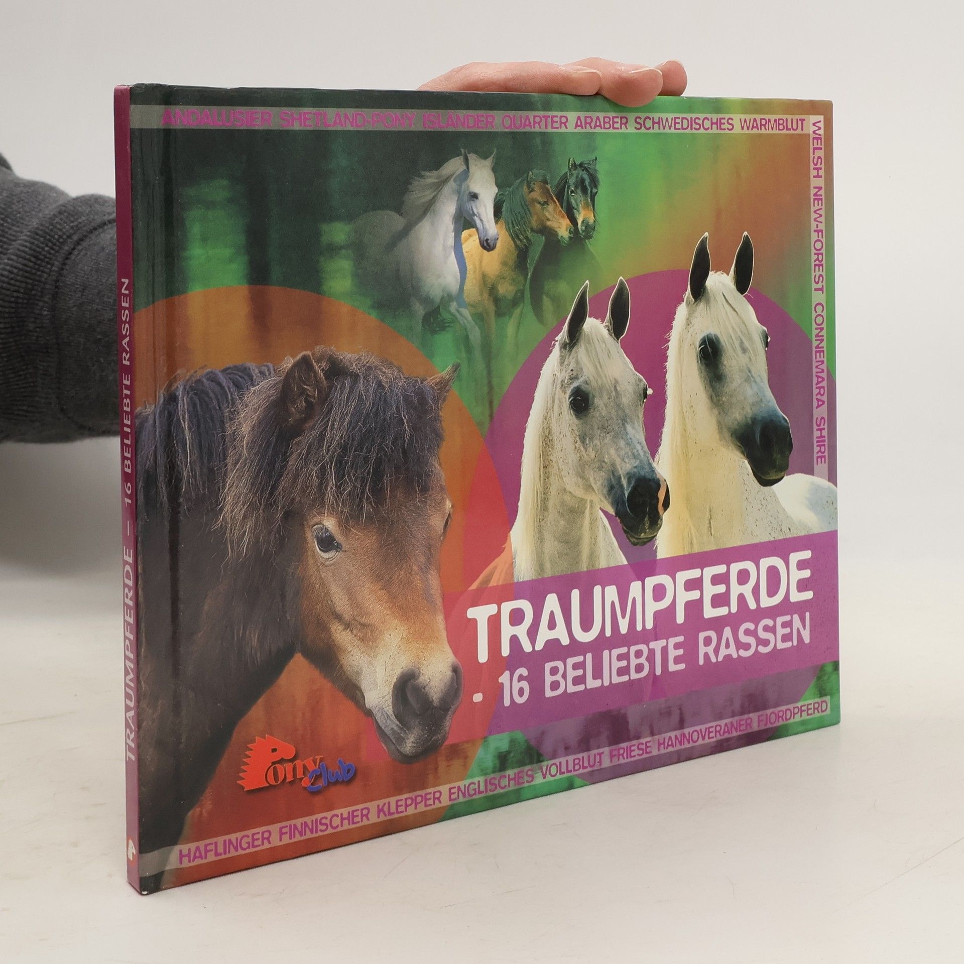 Autorenkollektiv Traumpferde, 16 beliebte Rassen