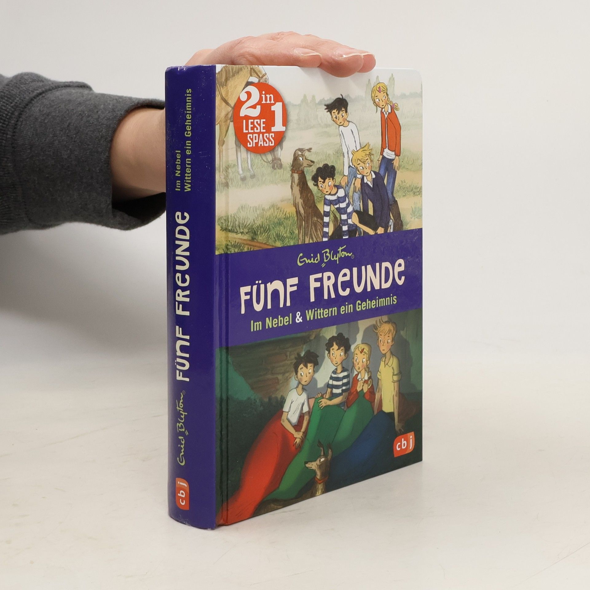 Enid Blyton Fünf Freunde, Im Nebel a Wittern ein Geheimnis