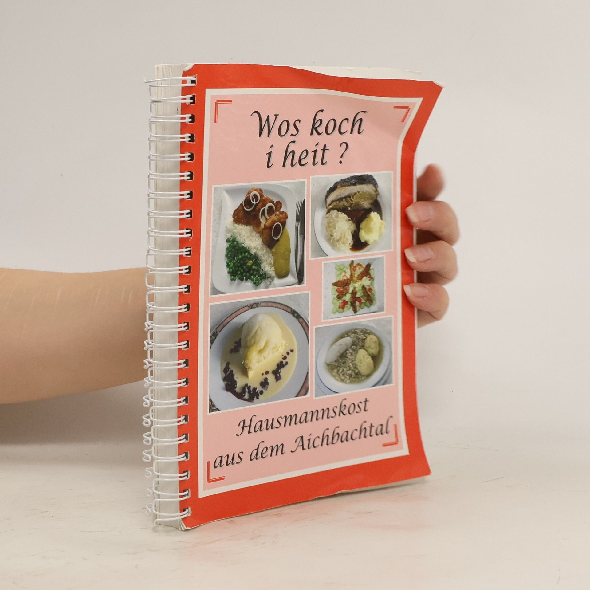 Autorenkollektiv Wos koch i heit?