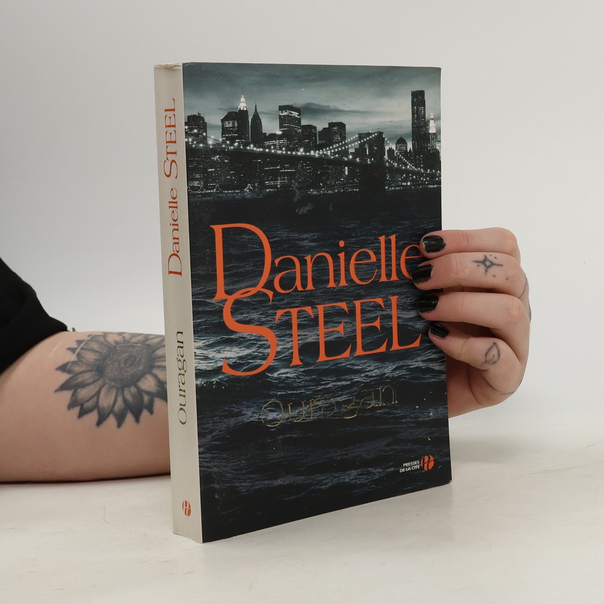 Danielle Steel Ouragan