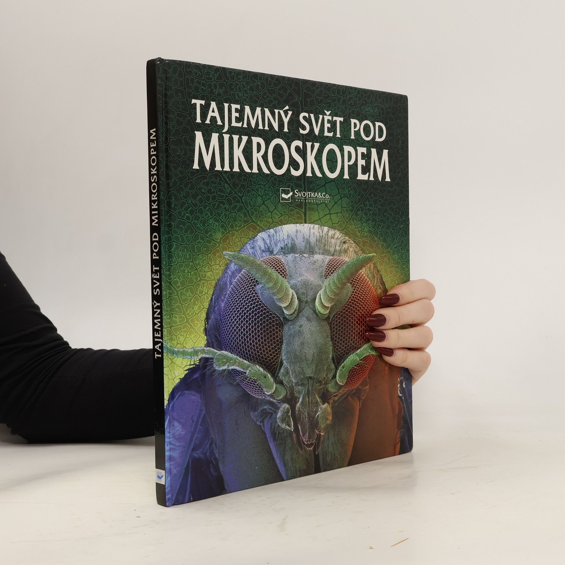 Kirsteen Rogers Tajemný svět pod mikroskopem