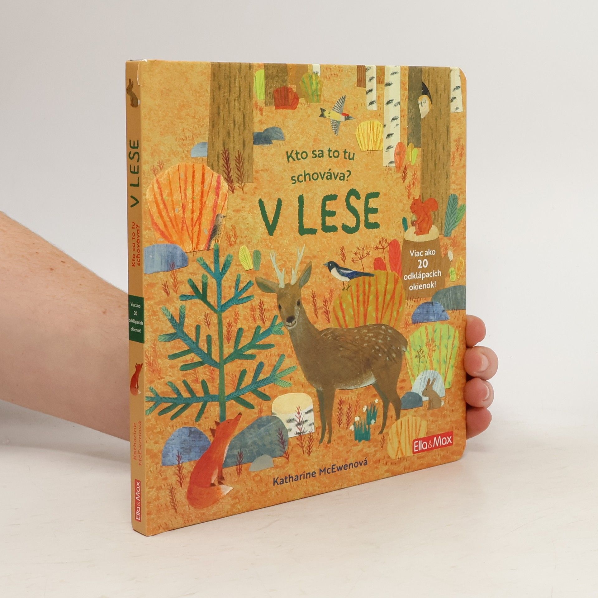 Kto sa tu schováva? - V lese