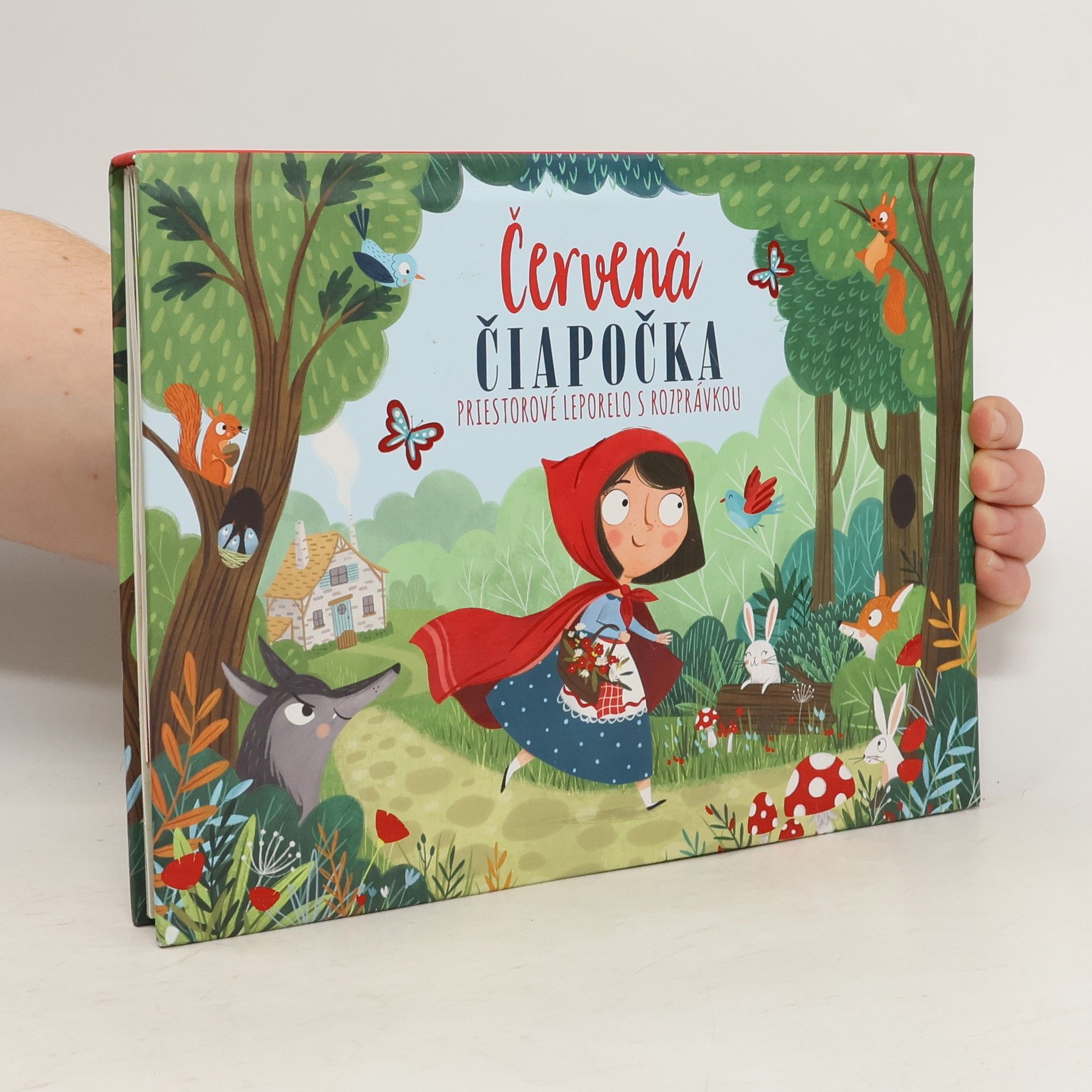 Collectif d'auteurs Červená čiapočka