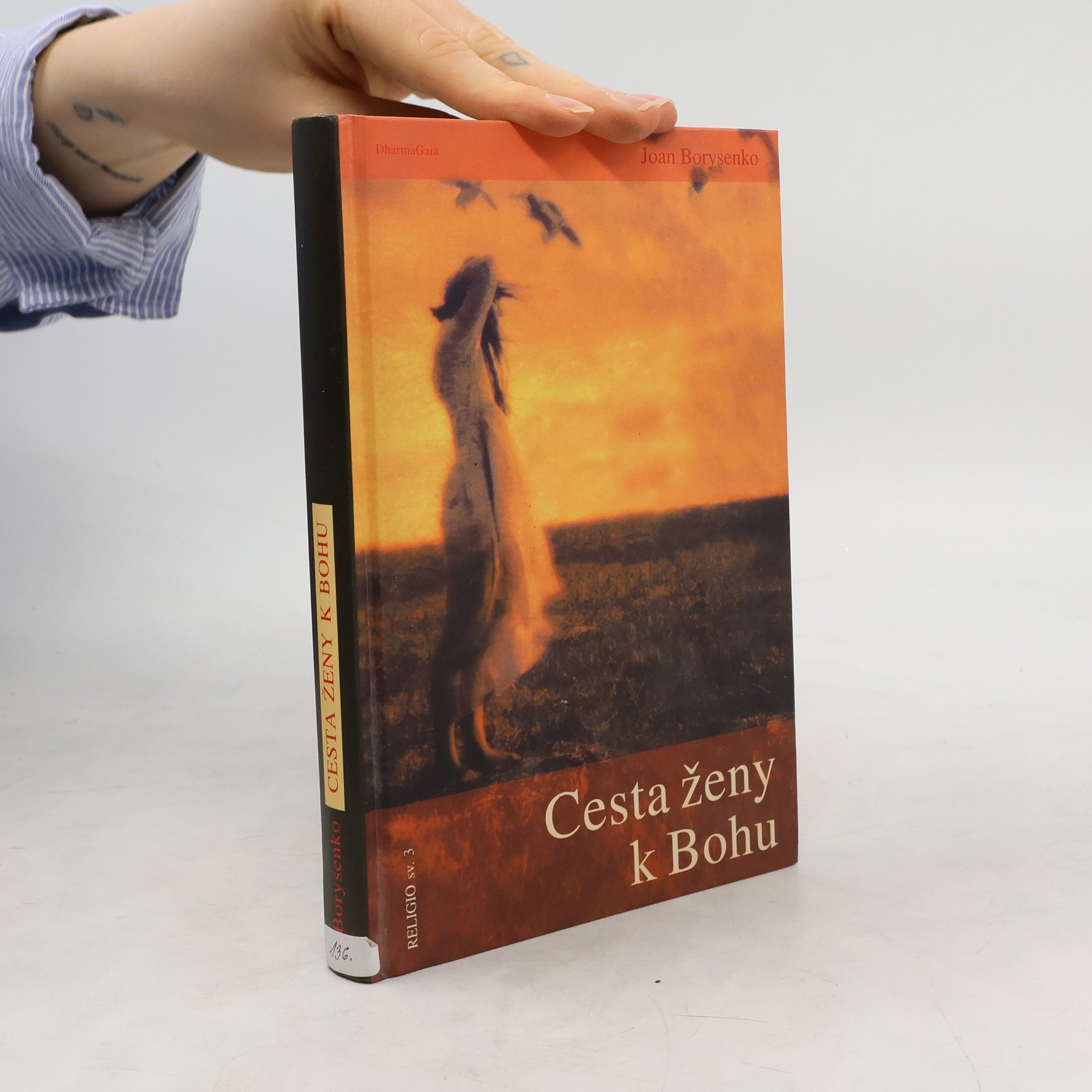 Joan Borysenko Cesta ženy k Bohu