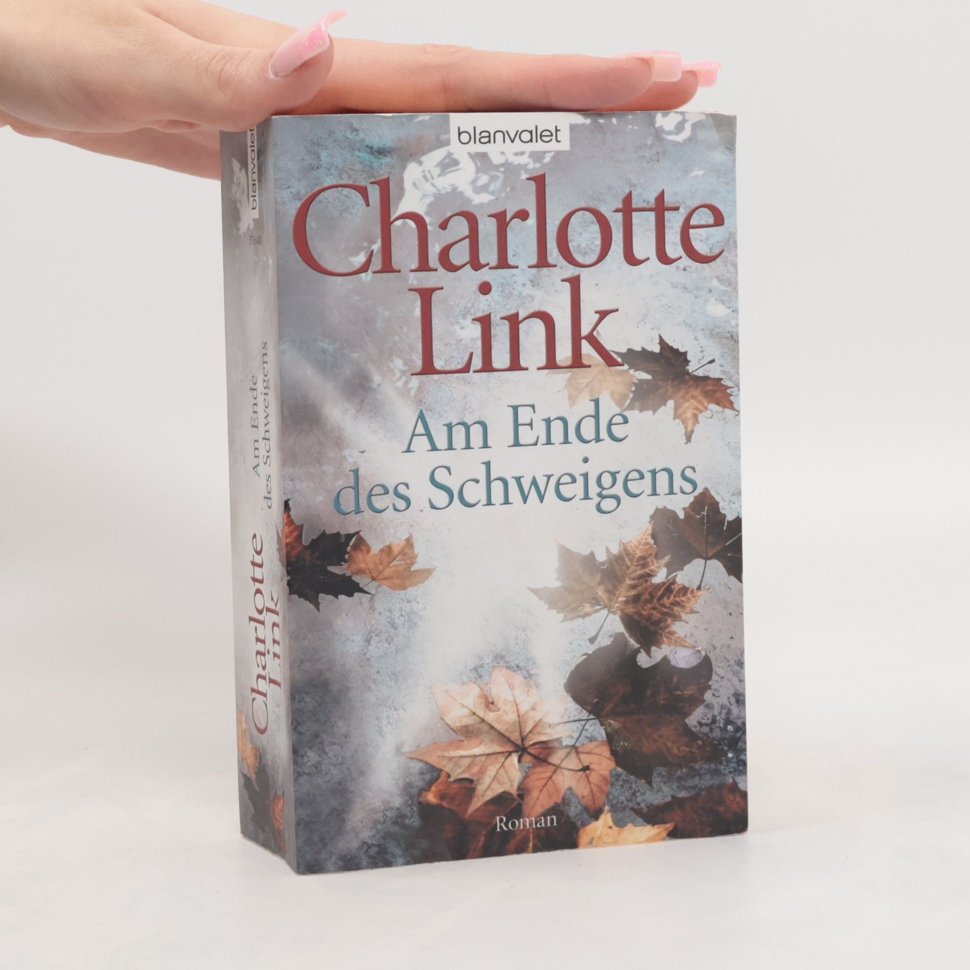 Charlotte Link Am Ende des Schweigens
