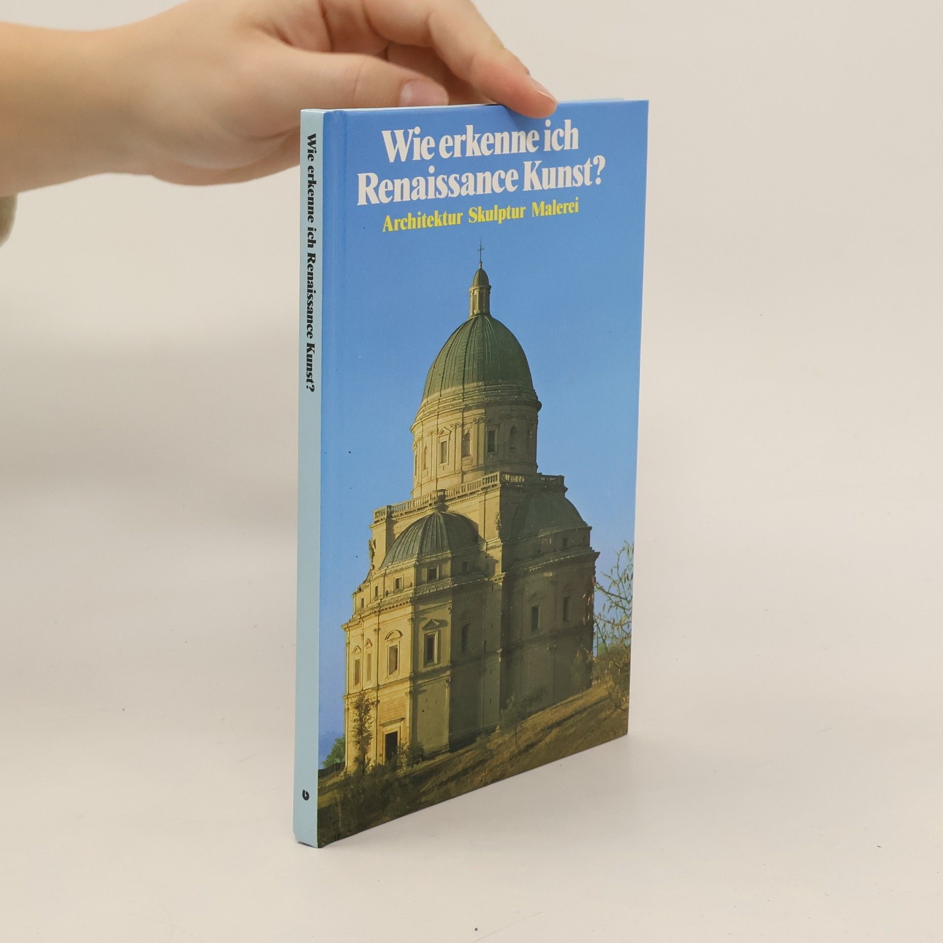 Flavio Conti Wie erkenne ich Renaissancekunst?