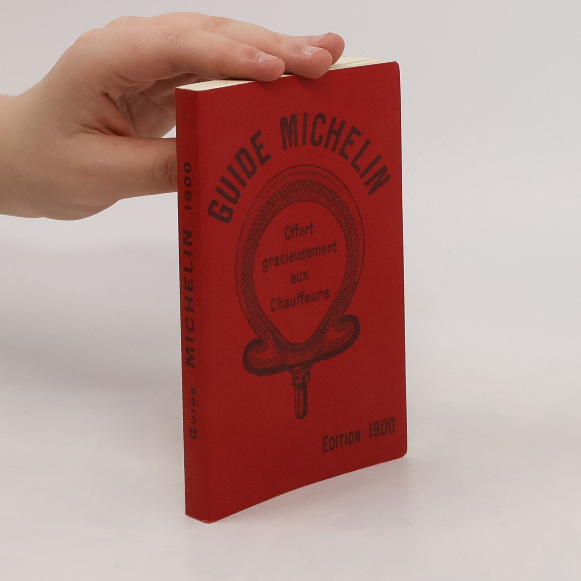 Collectif d'auteurs Guide Michelin