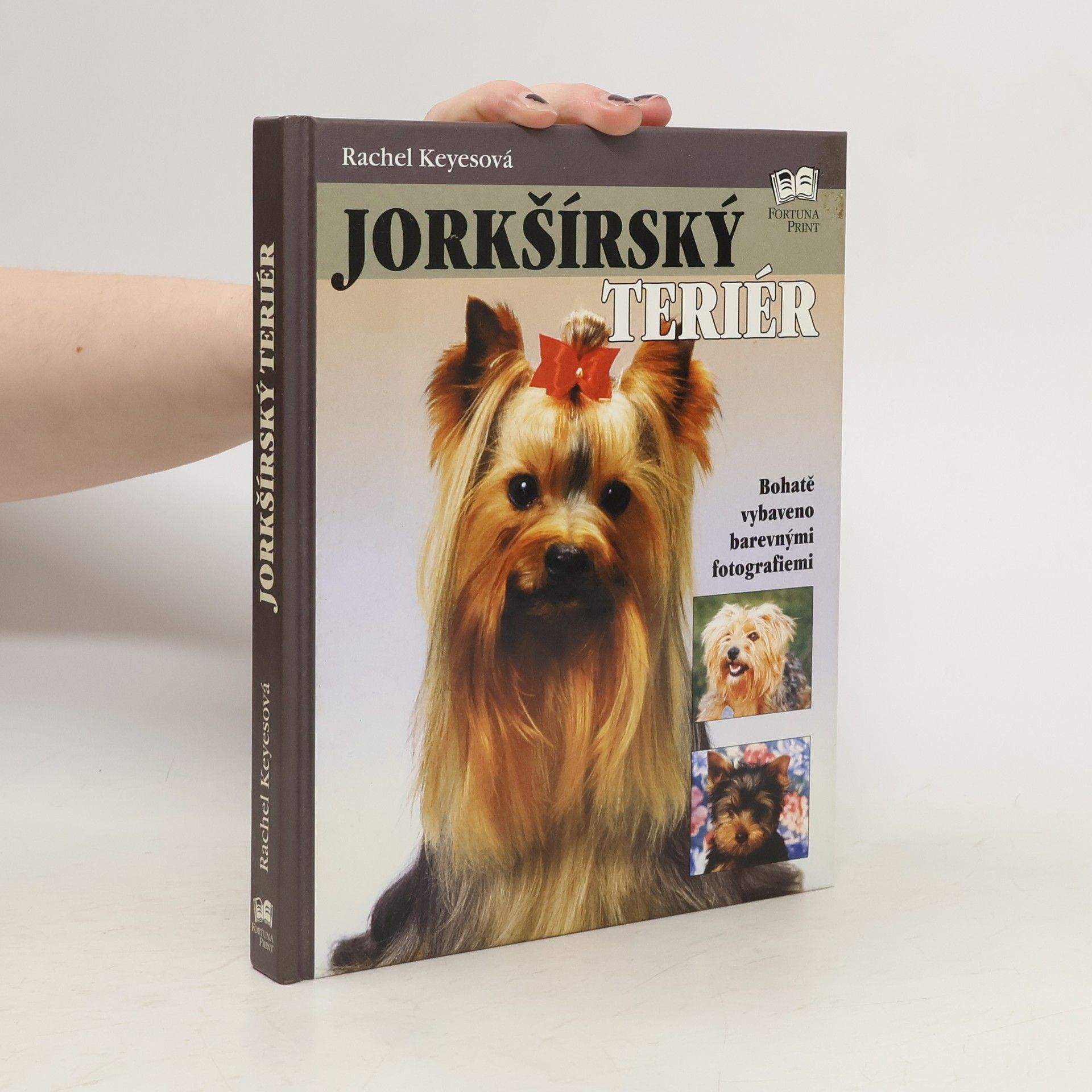 Rachel Keyes Jorkšírský teriér