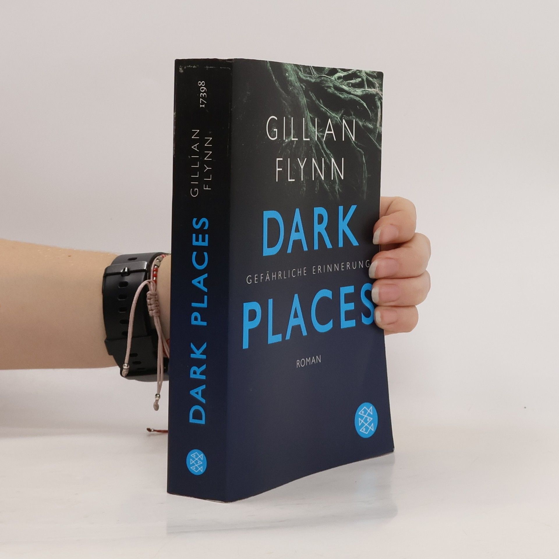 Gillian Flynn Dark Places - Gefährliche Erinnerung
