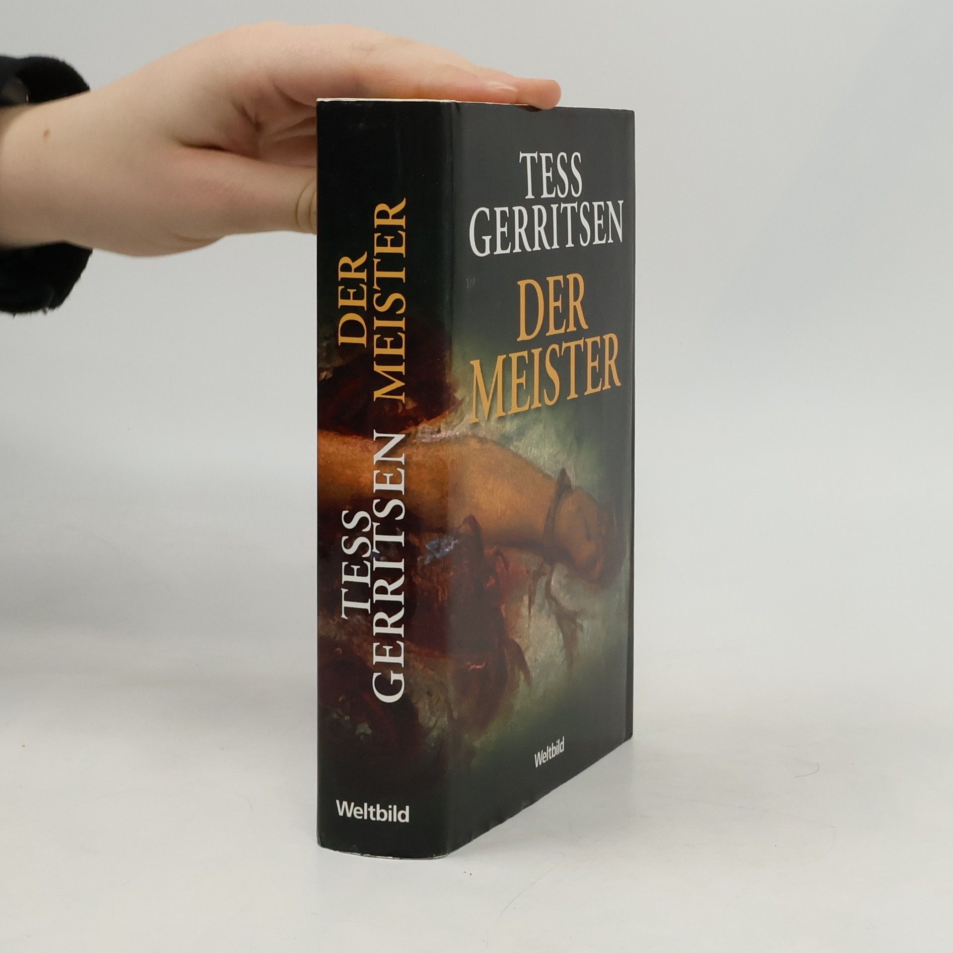 Tess Gerritsen Der Meister