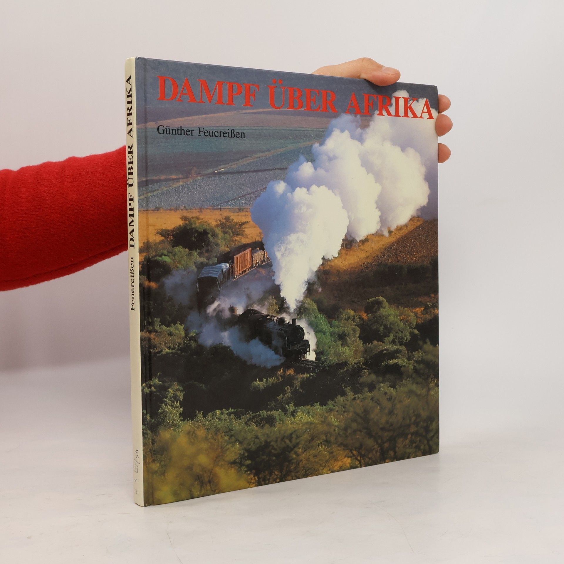 Günther Feuereißen Dampf über Afrika
