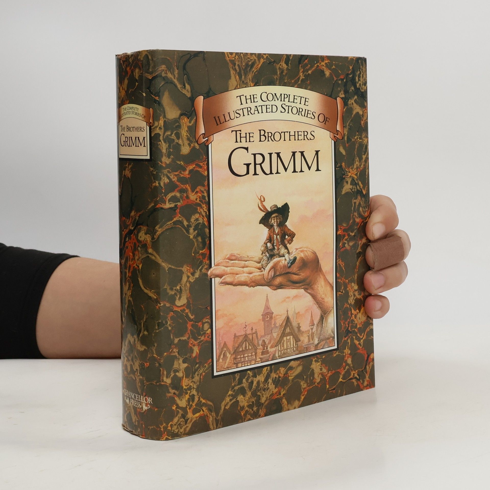 The complete illustrated stories of the Brothers Grimm