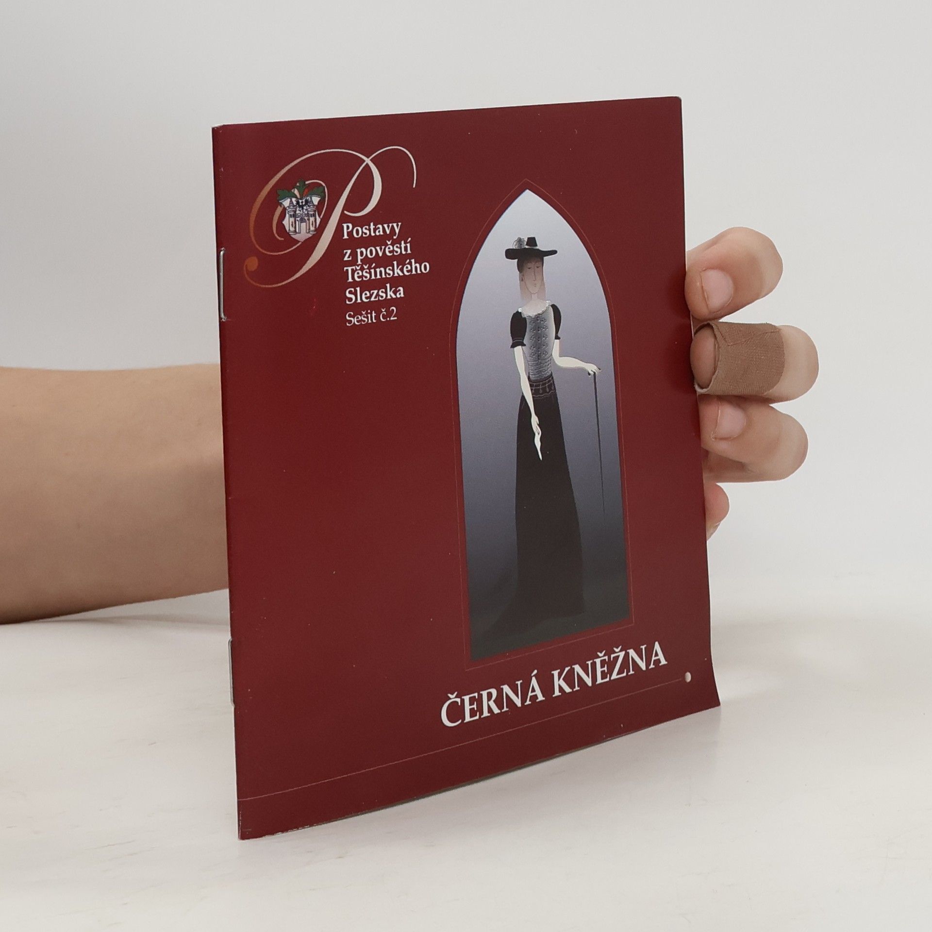 Kolektiv autorů Černá kněžna