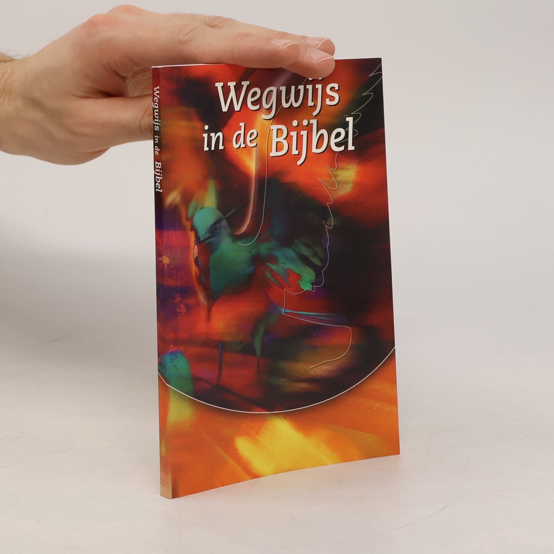 Wegwijs in de Bijbel