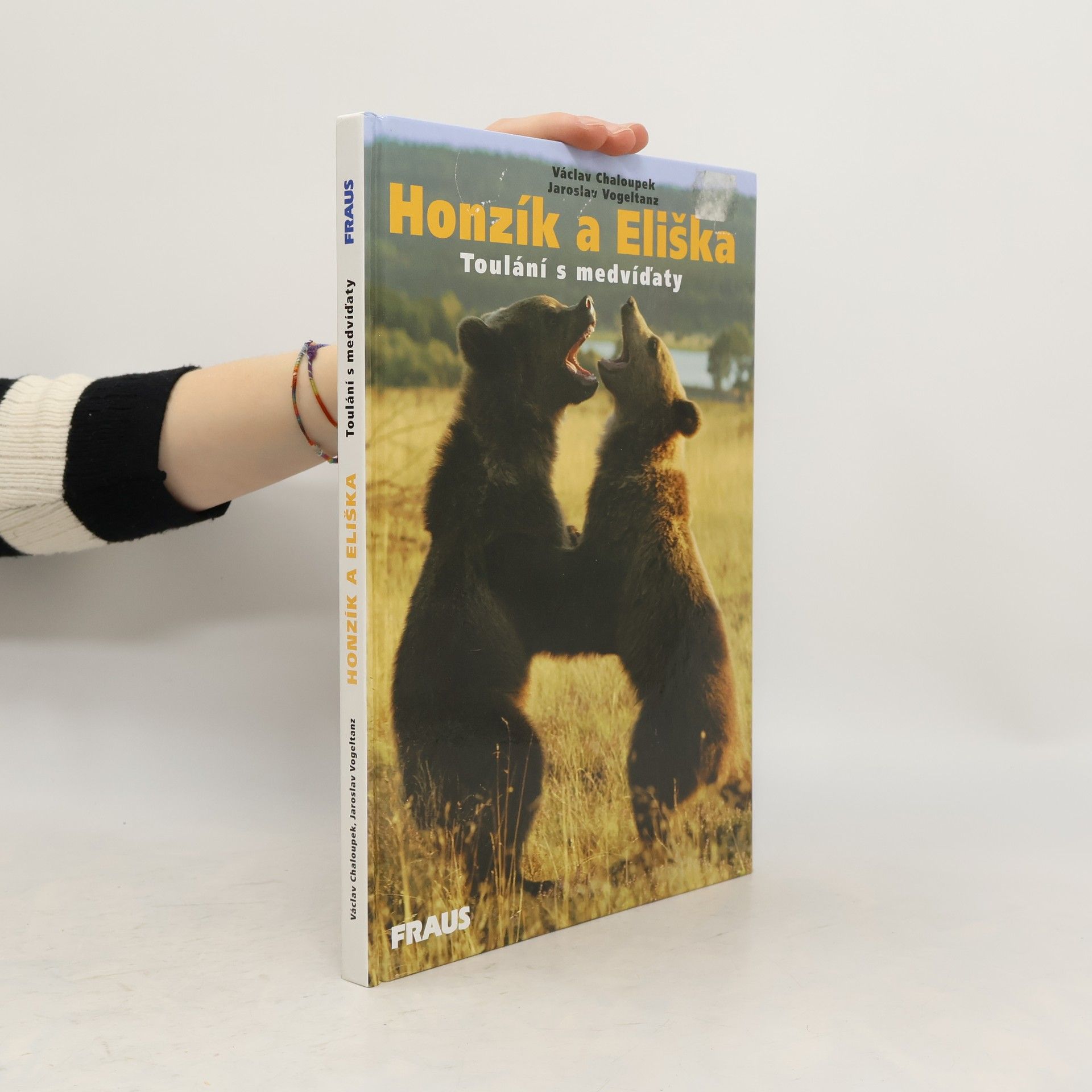 Jaroslav Vogeltanz Honzík a Eliška. Toulání s medvíďaty