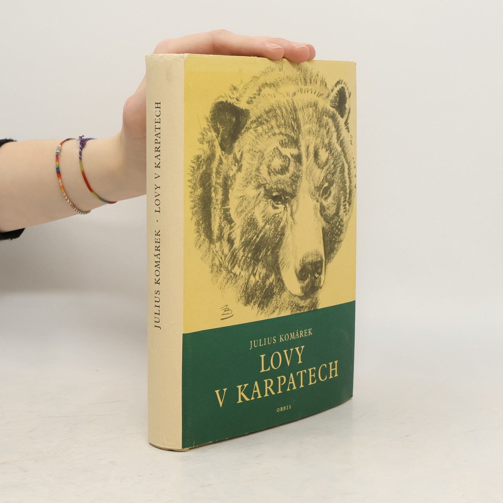 Julius Komárek Lovy v Karpatech