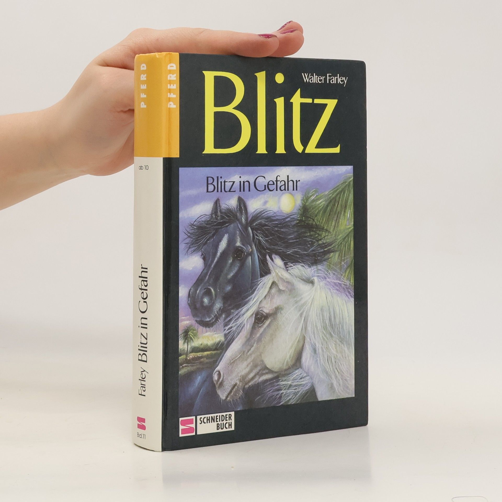 Walter Farley Blitz. Blitz in Gefahr