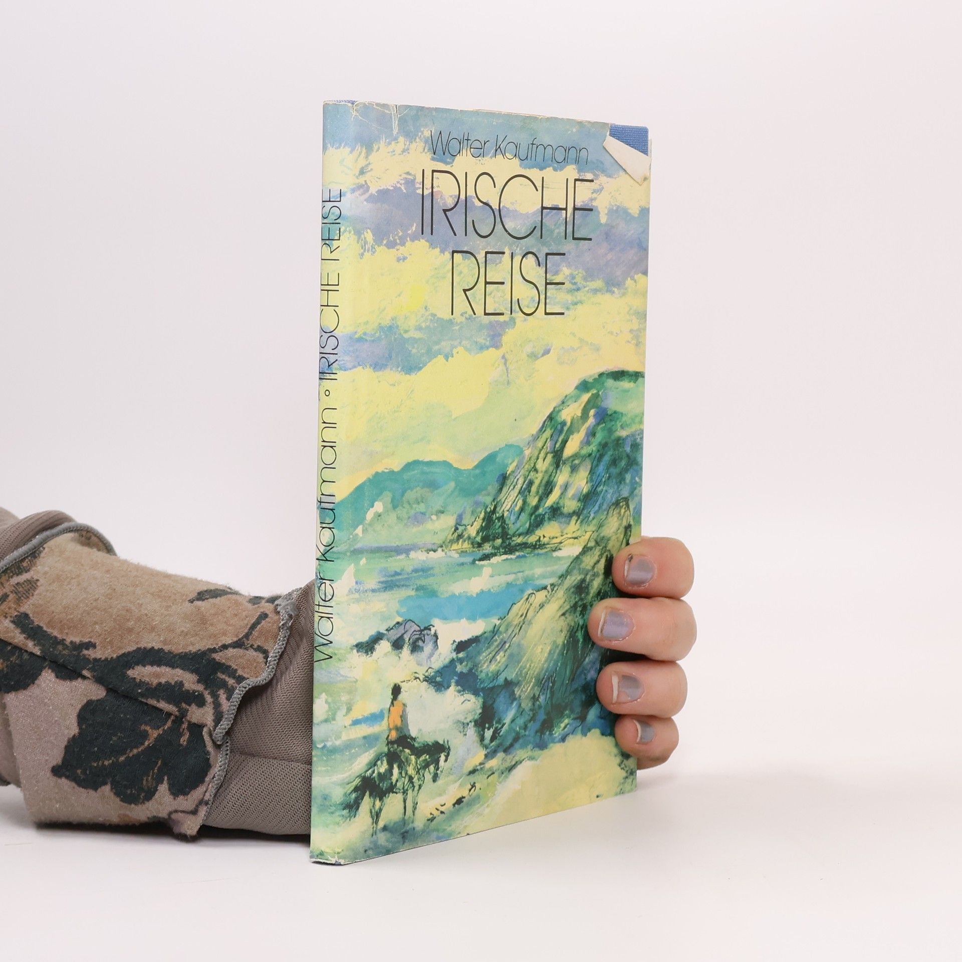 Walter Kaufmann-Bühler Irische Reise