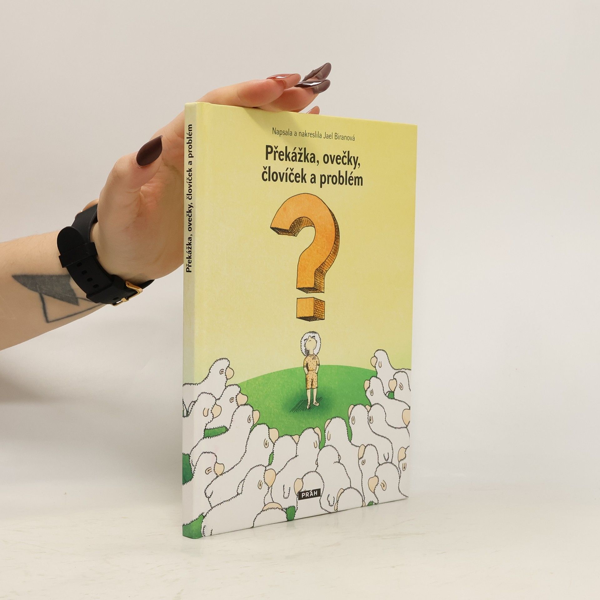 Překážka, ovečky, človíček a problém