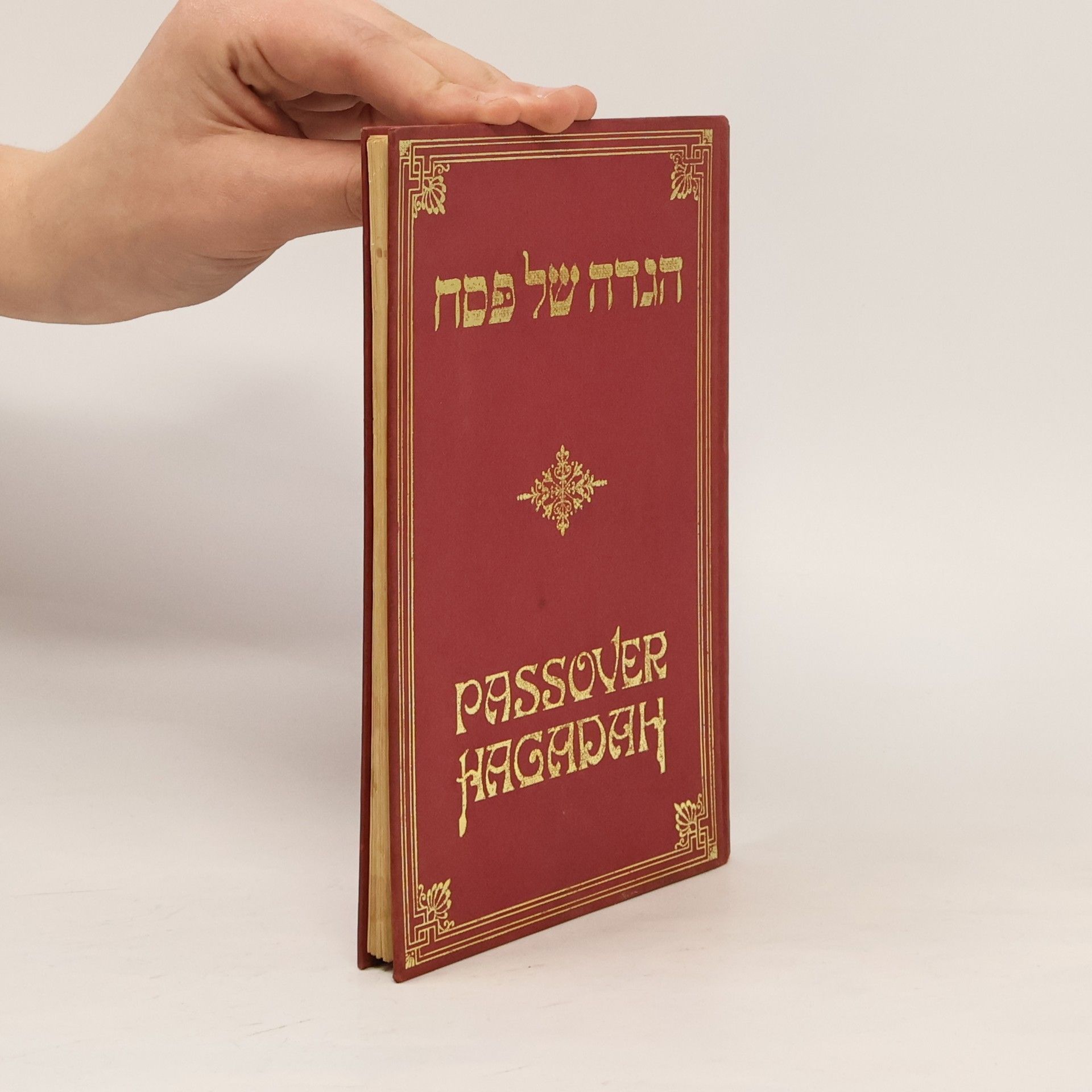 Collectif d'auteurs הגדה של פסח. Passover Hagadah