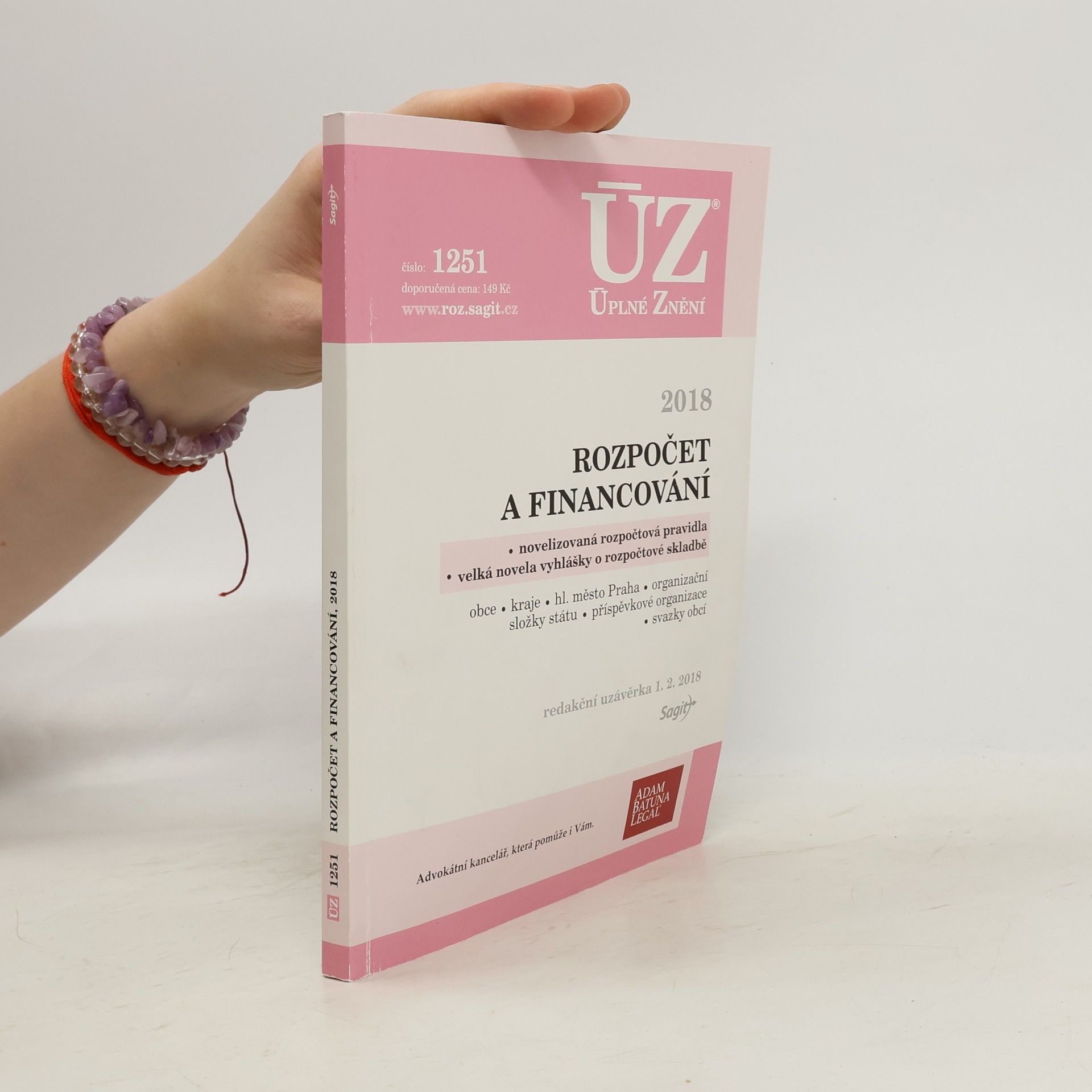 Kolektiv autorů Rozpočet a financování