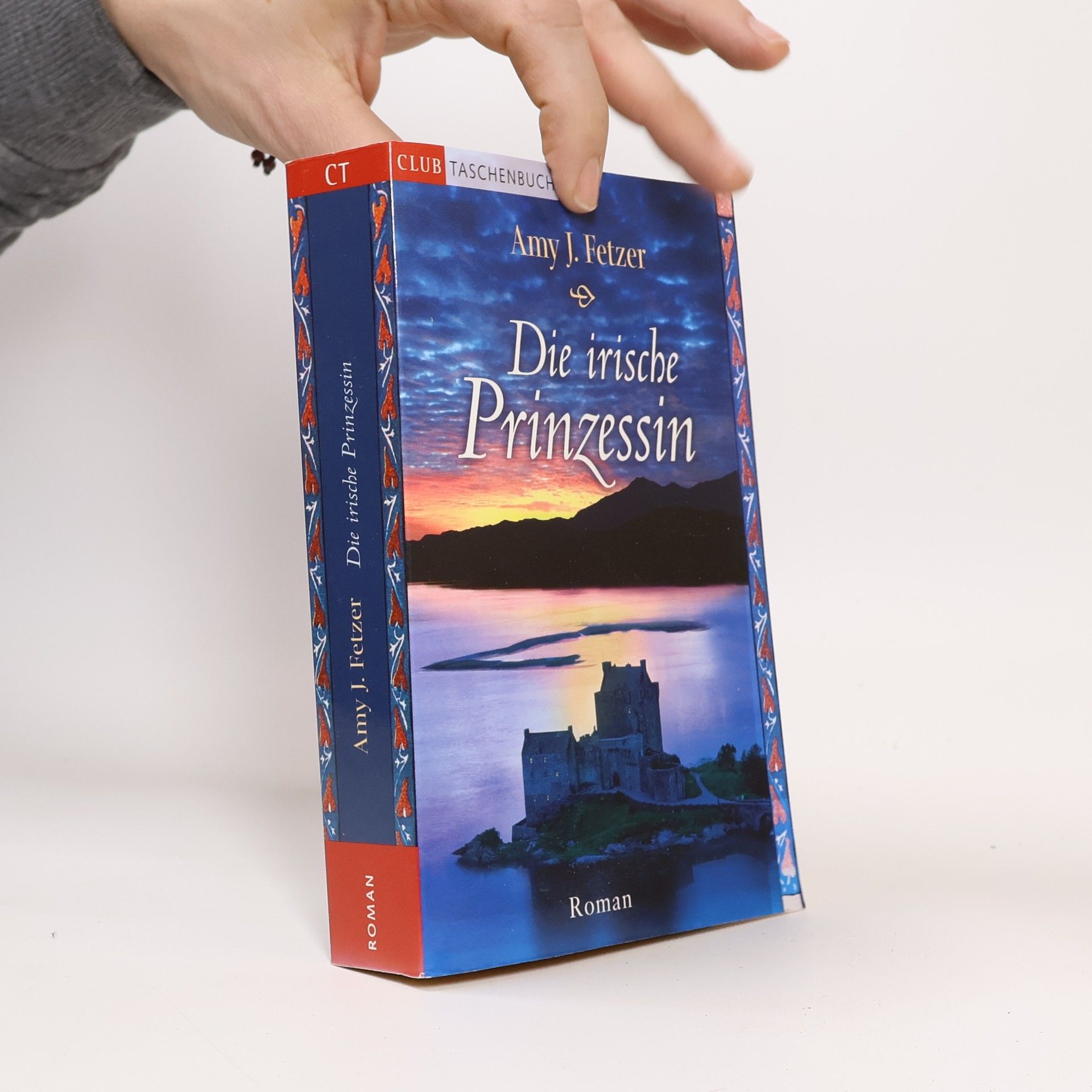 Amy J. Fetzer Die irische Prinzessin