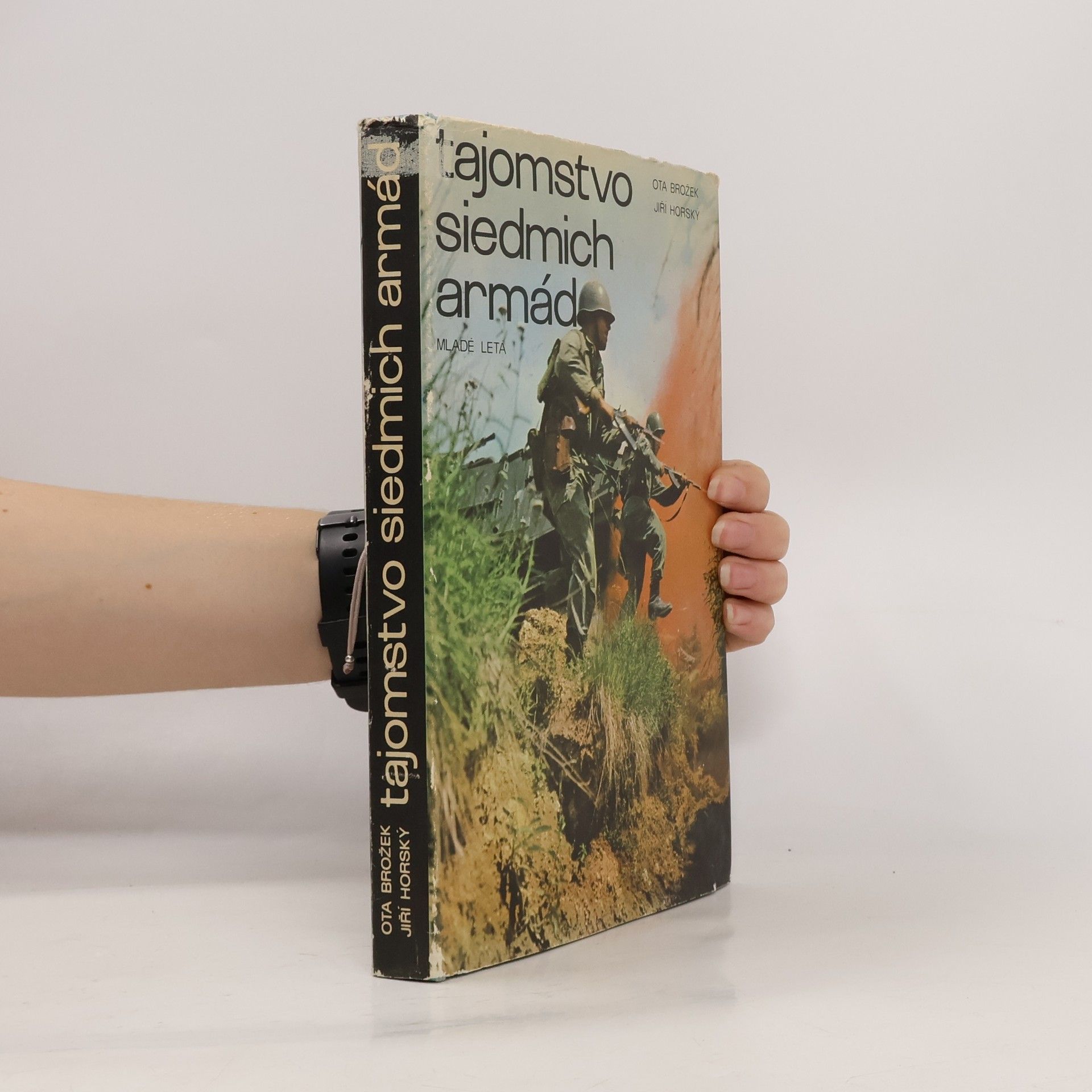 Tajomstvo siedmich armád