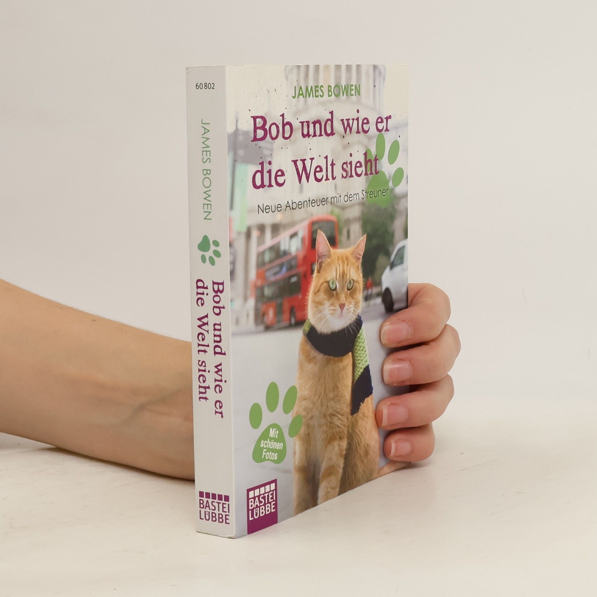 James Bowen Bob und wie er die Welt sieht