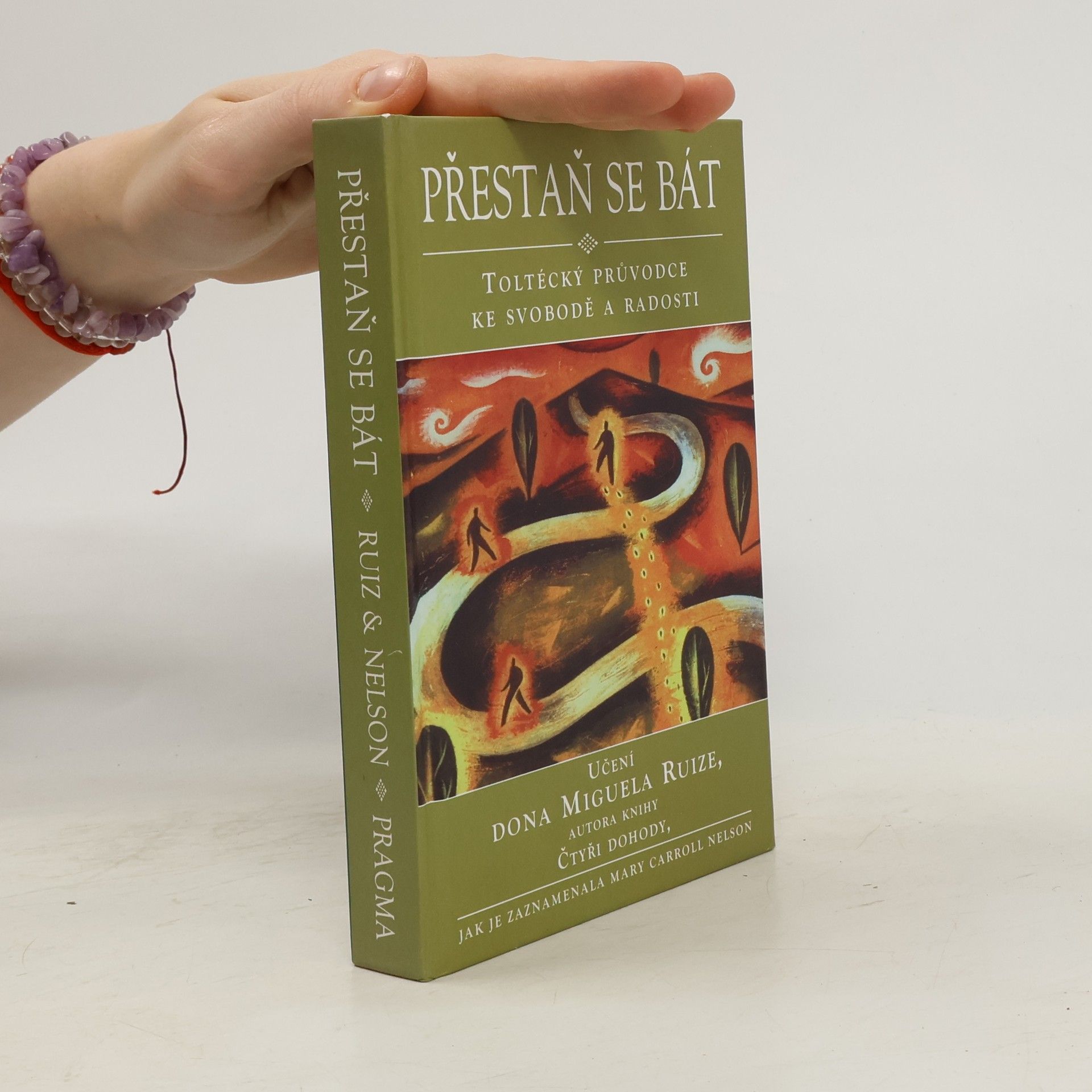 Mary Carroll Nelson Přestaň se bát