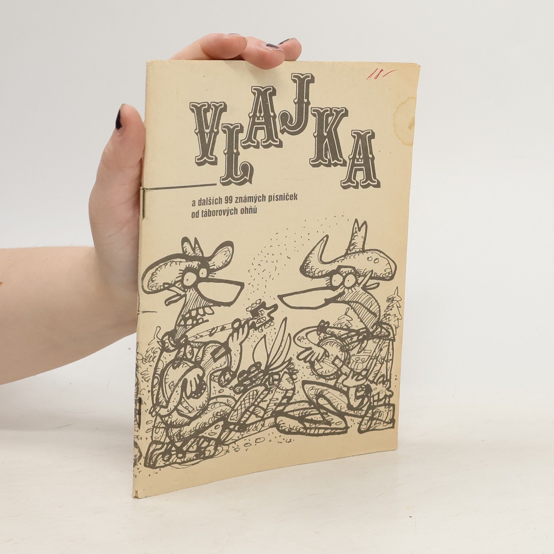 Vlajka a dalších 99 známých písniček od táborových ohňů