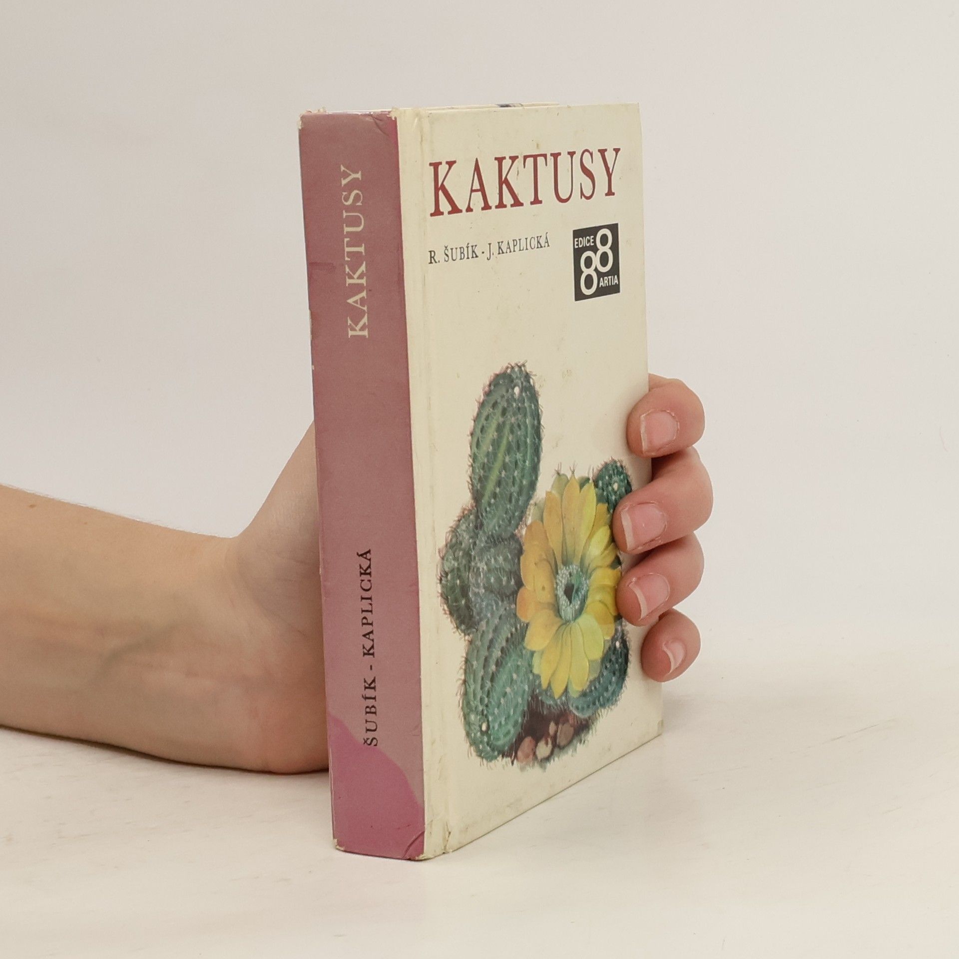 Rudolf Šubík Kaktusy