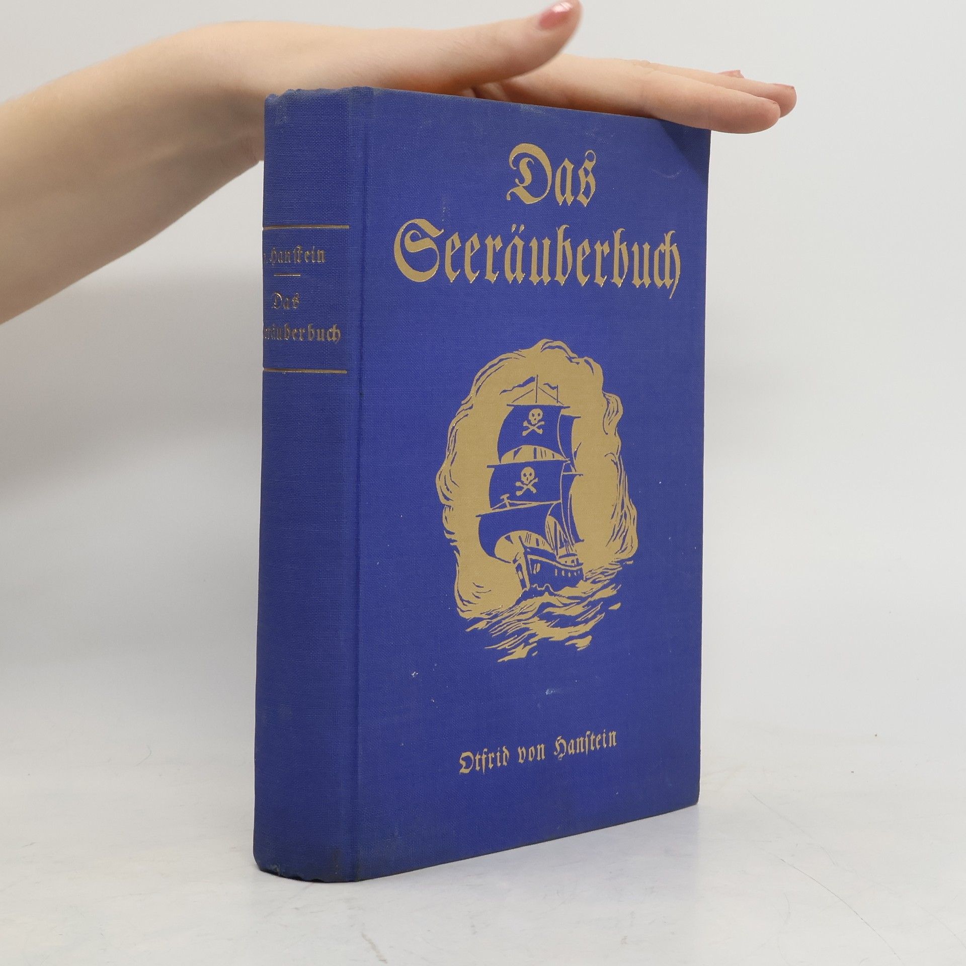 Kolektív autorov Das Seeräuberbuch