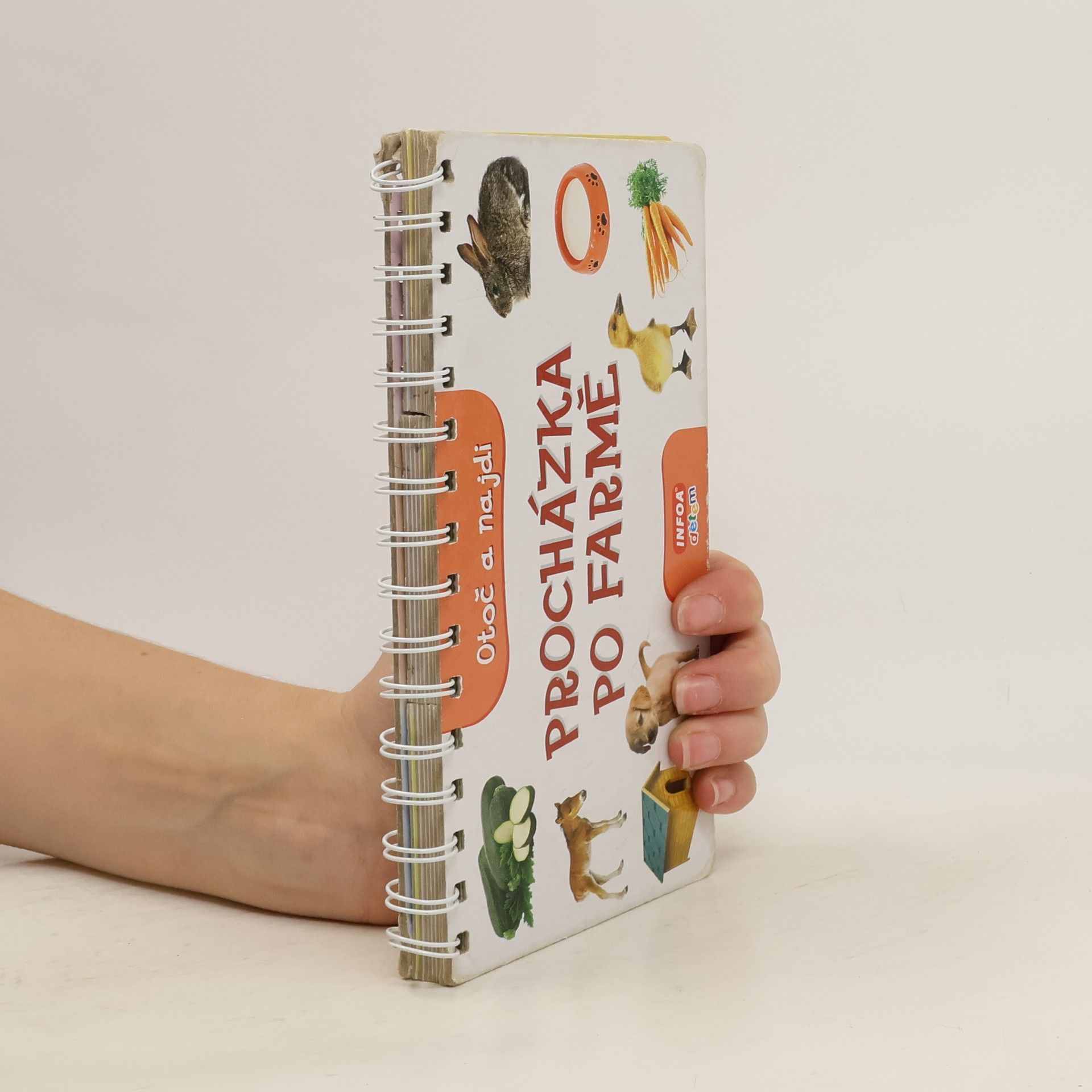 Kolektiv autorů Procházka po farmě