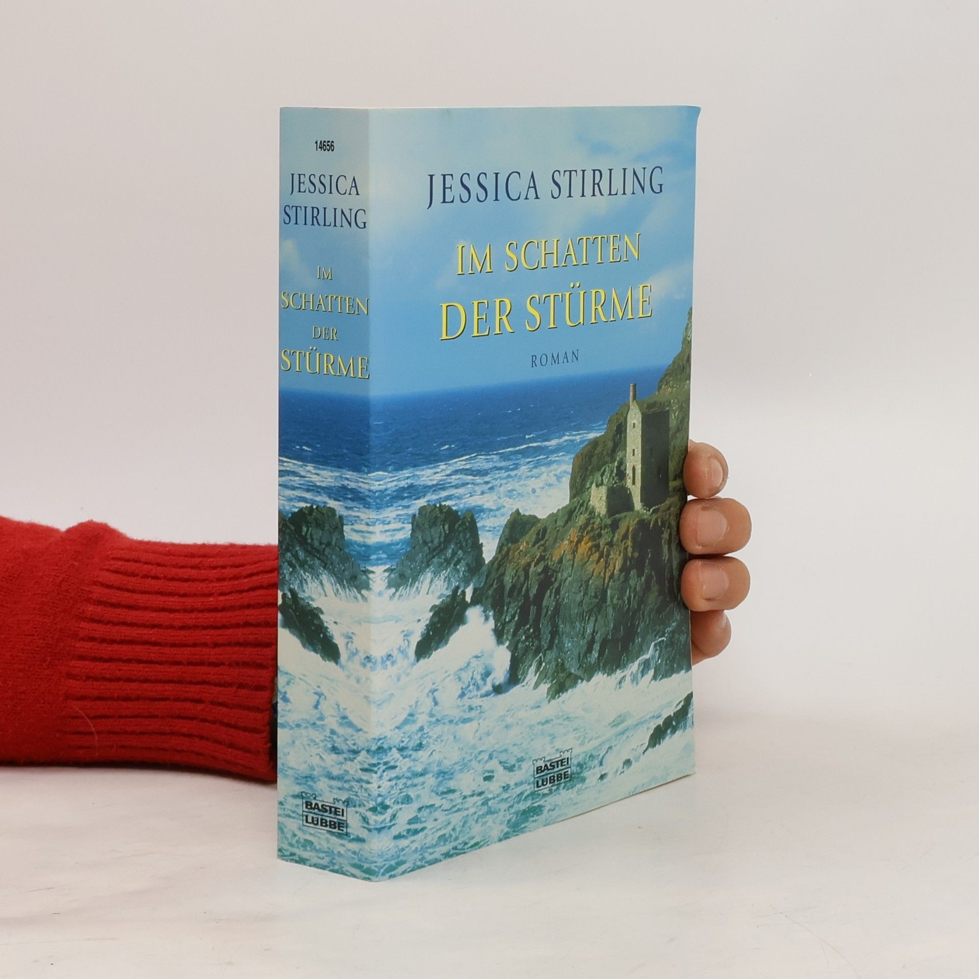 Im Schatten der Stürme