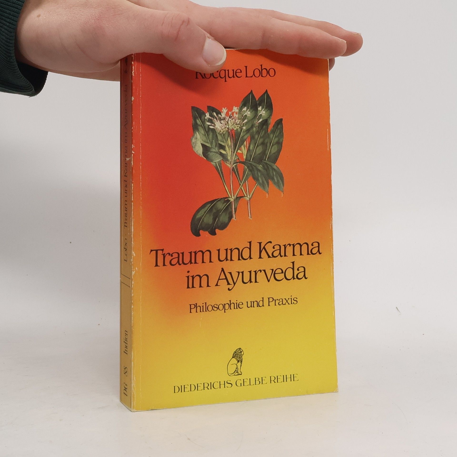 Rocque Lobo Traum und Karma im Ayurveda