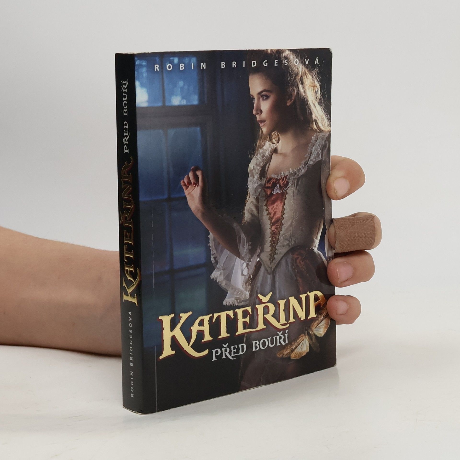 Kateřina: Před bouří (kniha první)