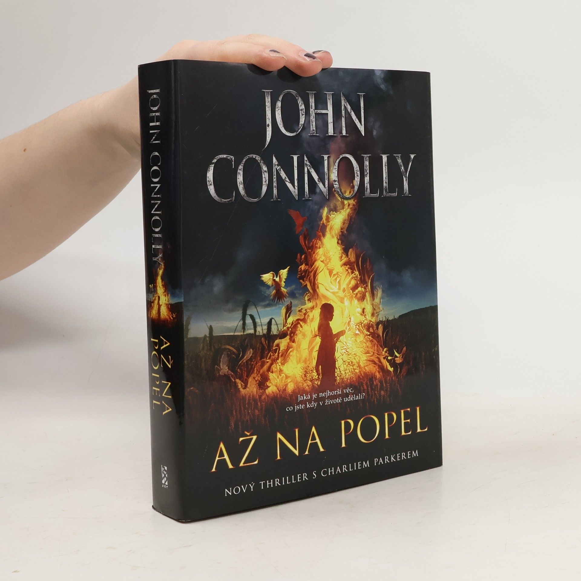 John Connolly Až na popel